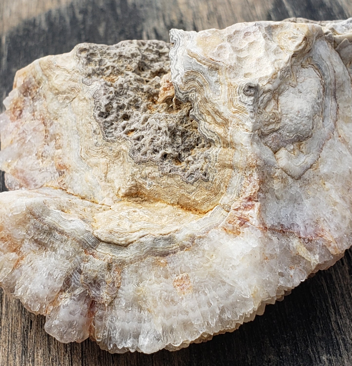 Quartz Crystal Druzy Druse on Lace Agate, Missouri, Champagne Color DR44