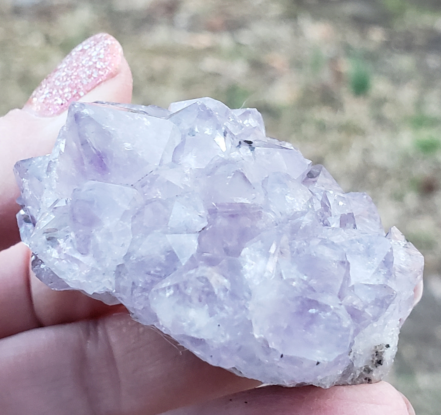 Amethyst Pine Cluster AM13