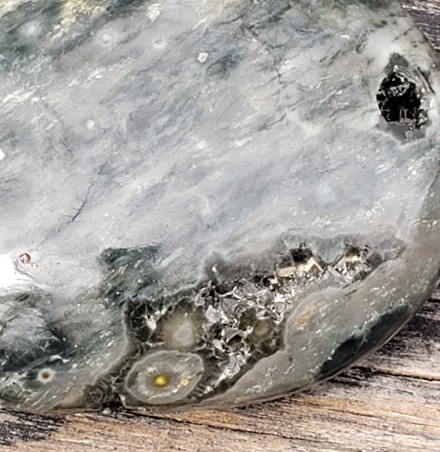 Ocean Jasper Palm Stone PS08 Orbicular Jasper