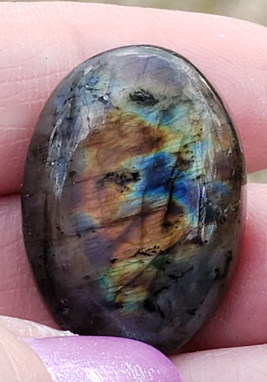 Spectrolite Labradorite Cabachon CB62