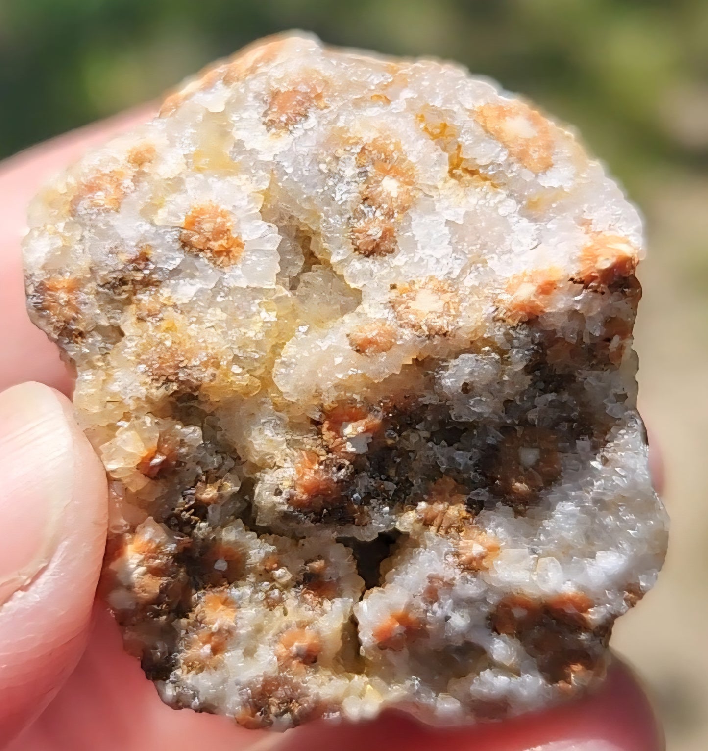 Ocean Jasper Druzy Rough Rock Item DR279