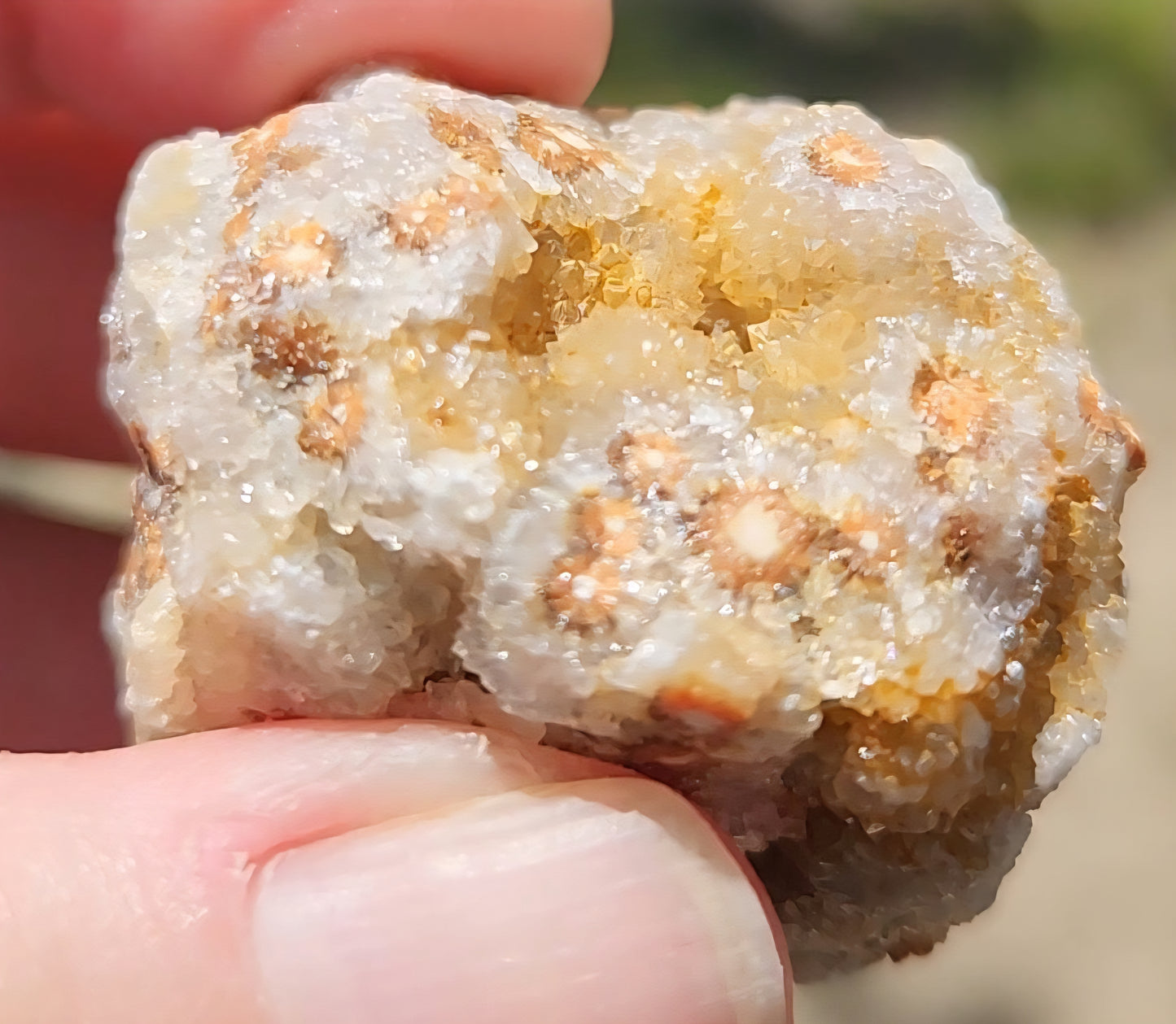 Ocean Jasper Druzy Rough Rock Item DR279