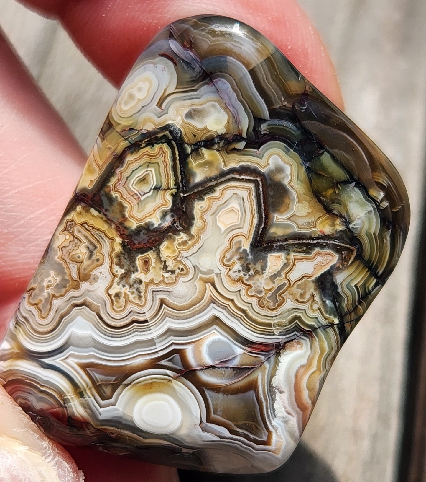 Tumbled Crazy Lace Agate, Self Tumbled, Item TA370