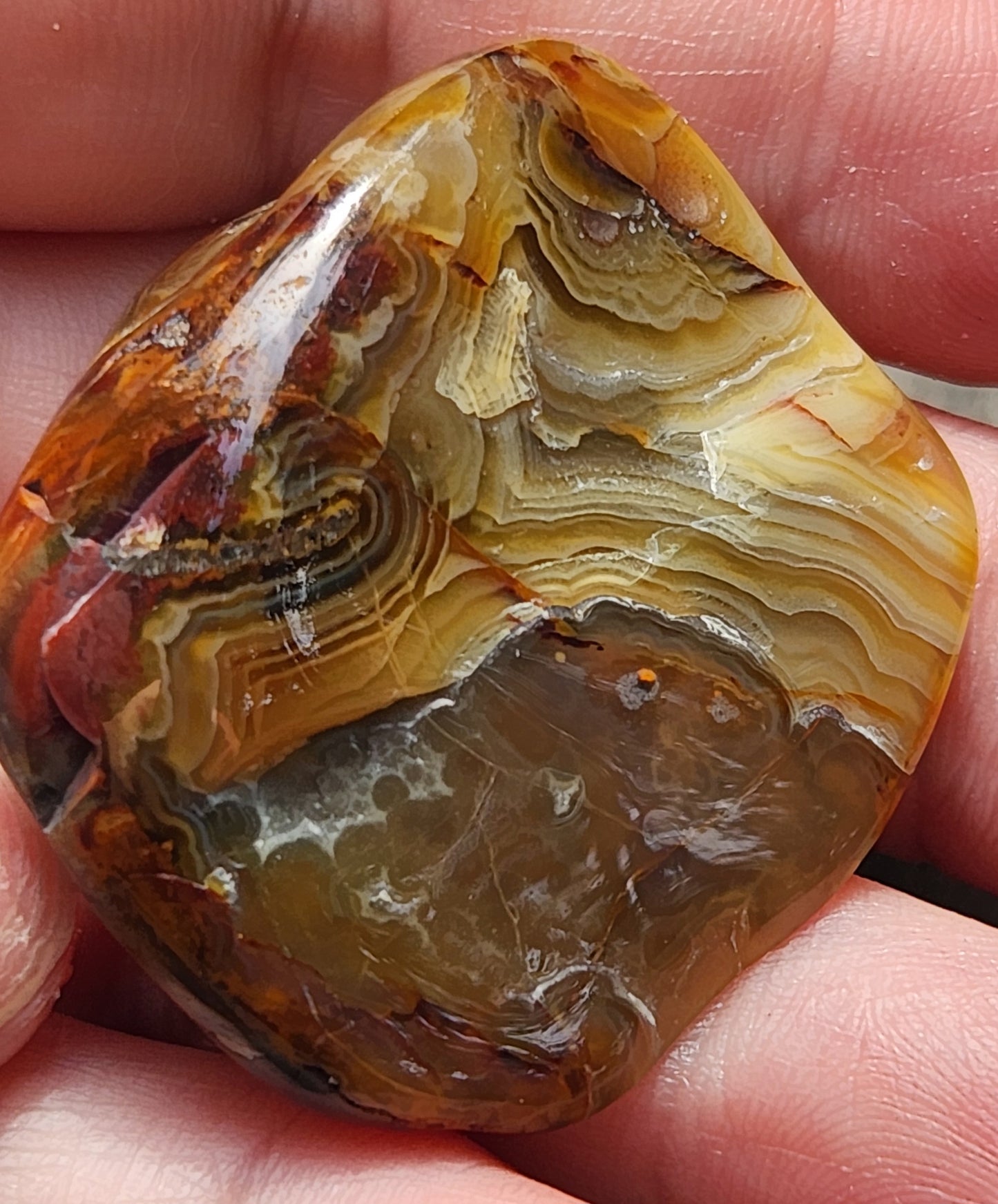 Tumbled Crazy Lace Agate, Self Tumbled, Item TA371