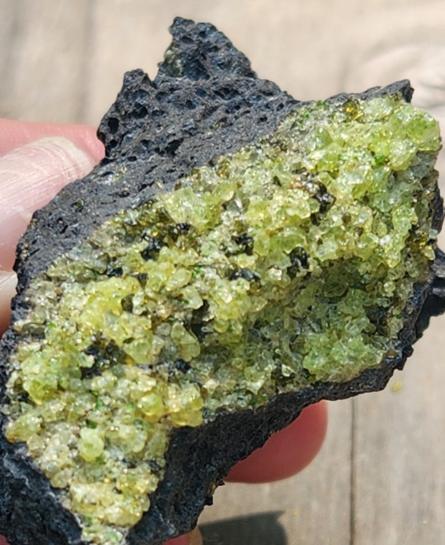 Peridot Olivine on Basalt Specimen ItemSP377