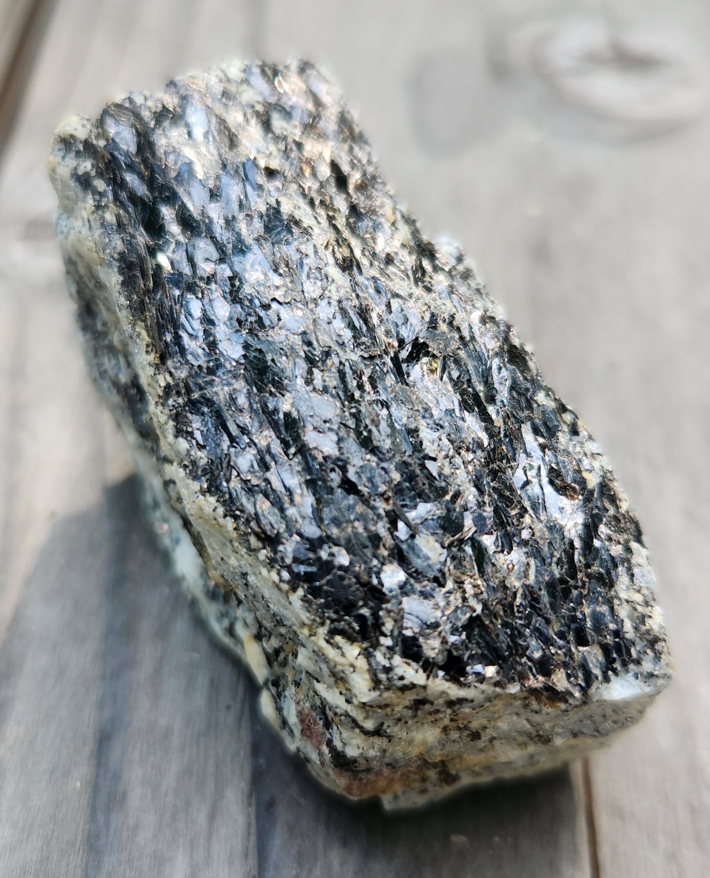 Biotite Mica on Matrix Specimen , Self Collected ItemSP385