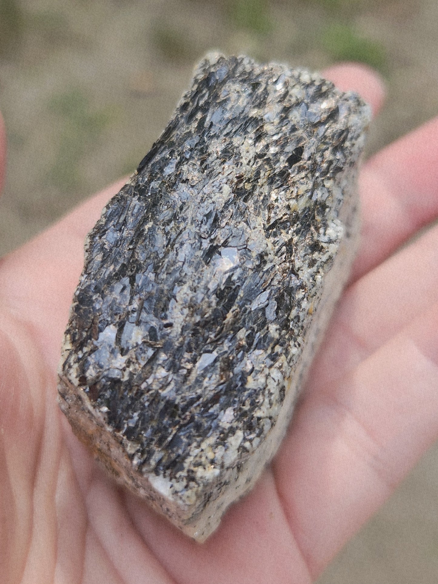 Biotite Mica on Matrix Specimen , Self Collected ItemSP385