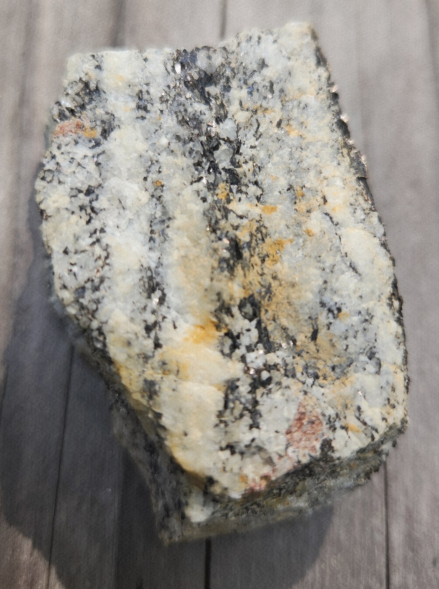 Biotite Mica on Matrix Specimen , Self Collected ItemSP385