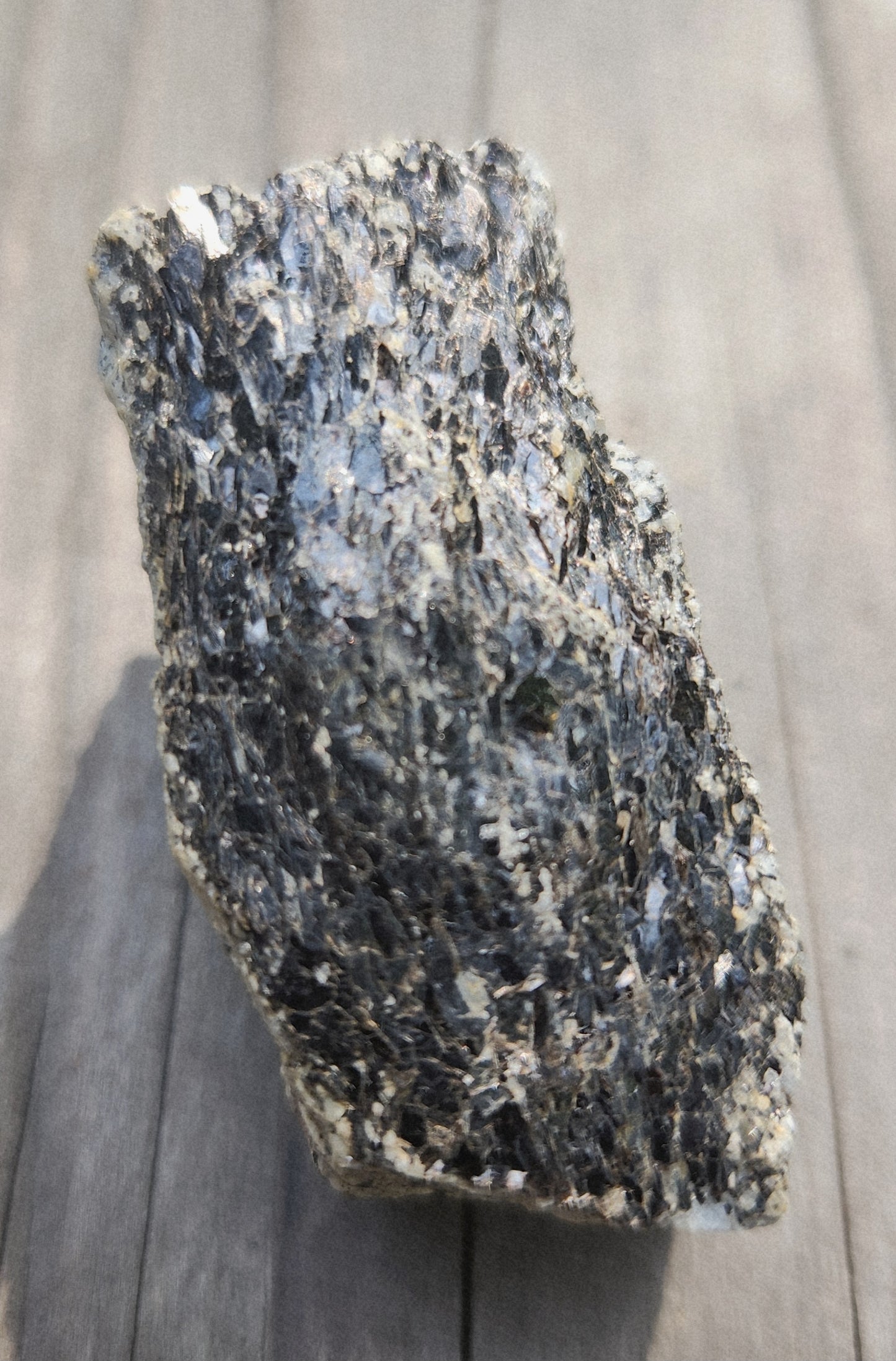 Biotite Mica on Matrix Specimen , Self Collected ItemSP385