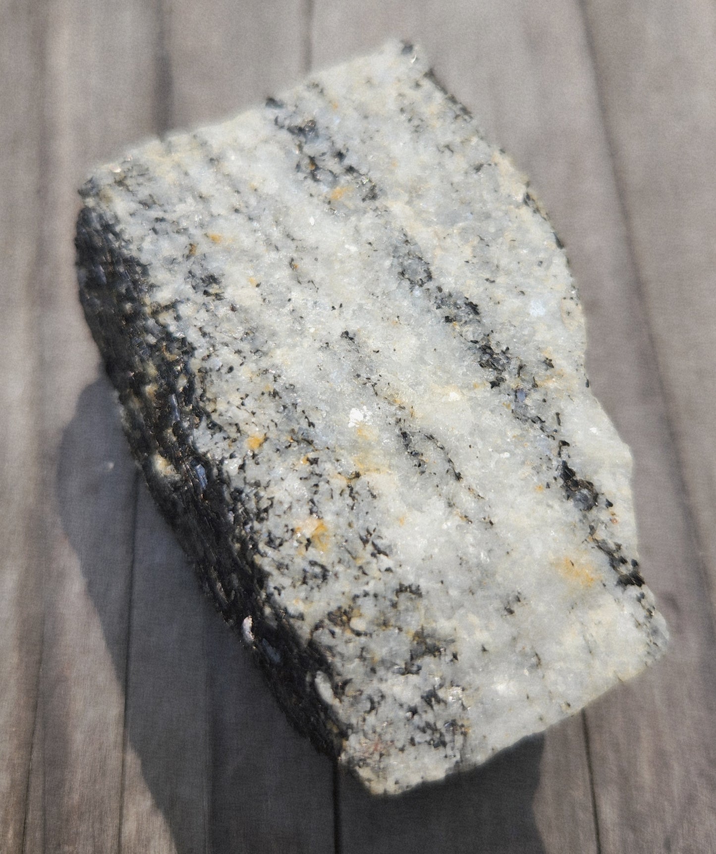 Biotite Mica on Matrix Specimen , Self Collected ItemSP385