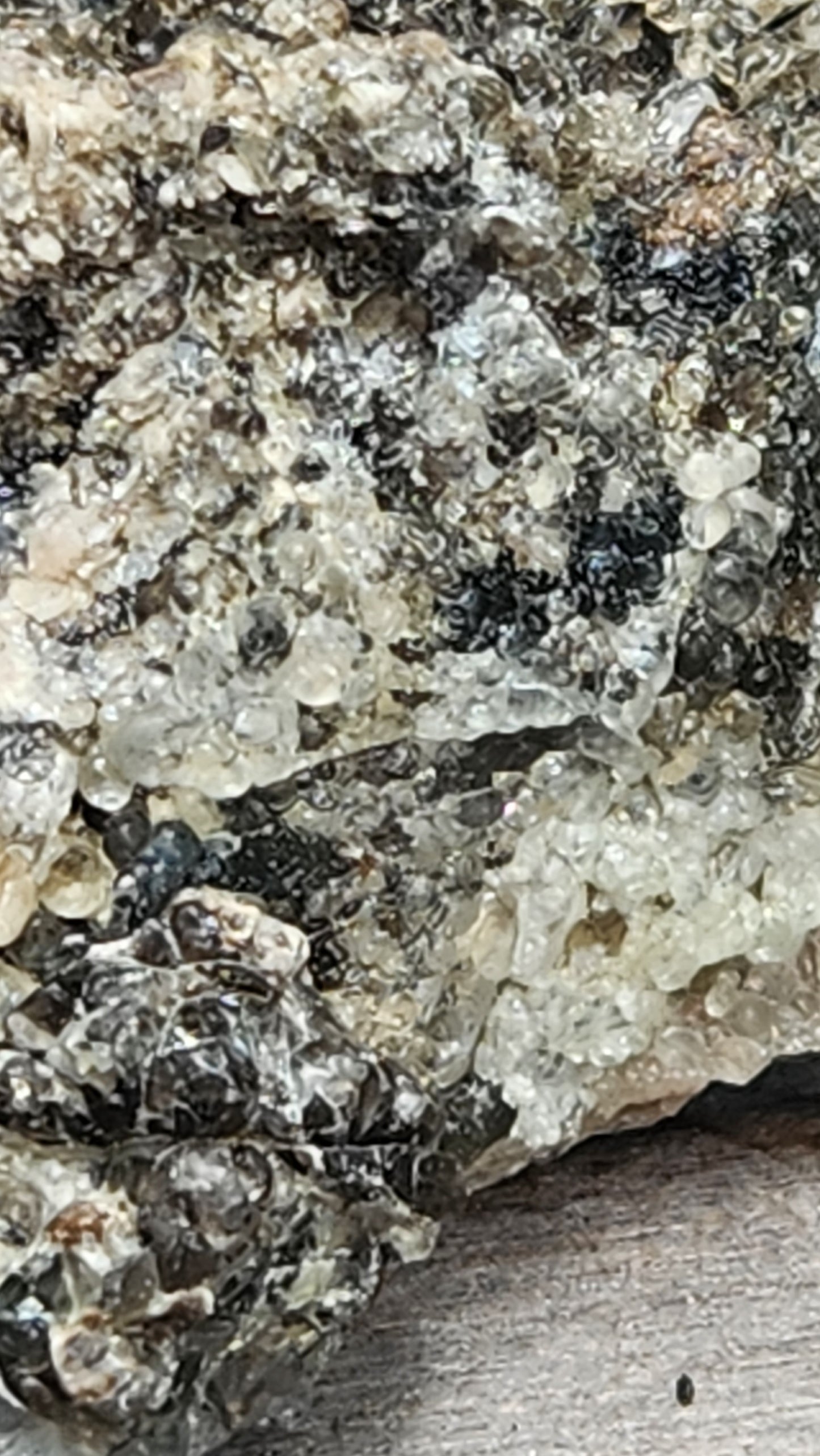 Botryoidal Hyalite Opal Specimen From Utah Highly UV Reactive Item SP400