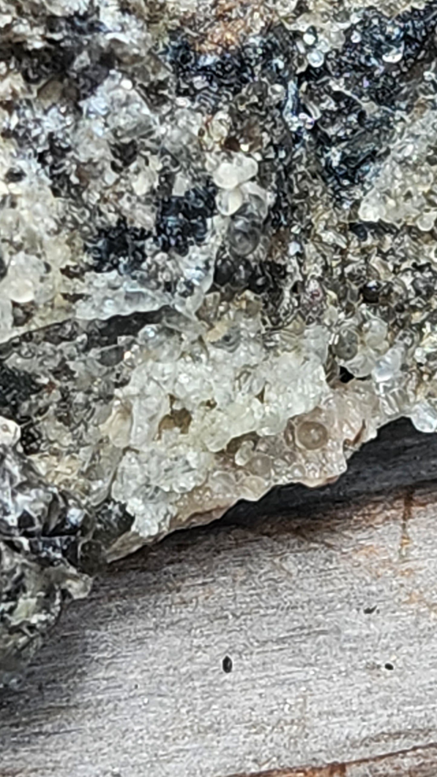 Botryoidal Hyalite Opal Specimen From Utah Highly UV Reactive Item SP400