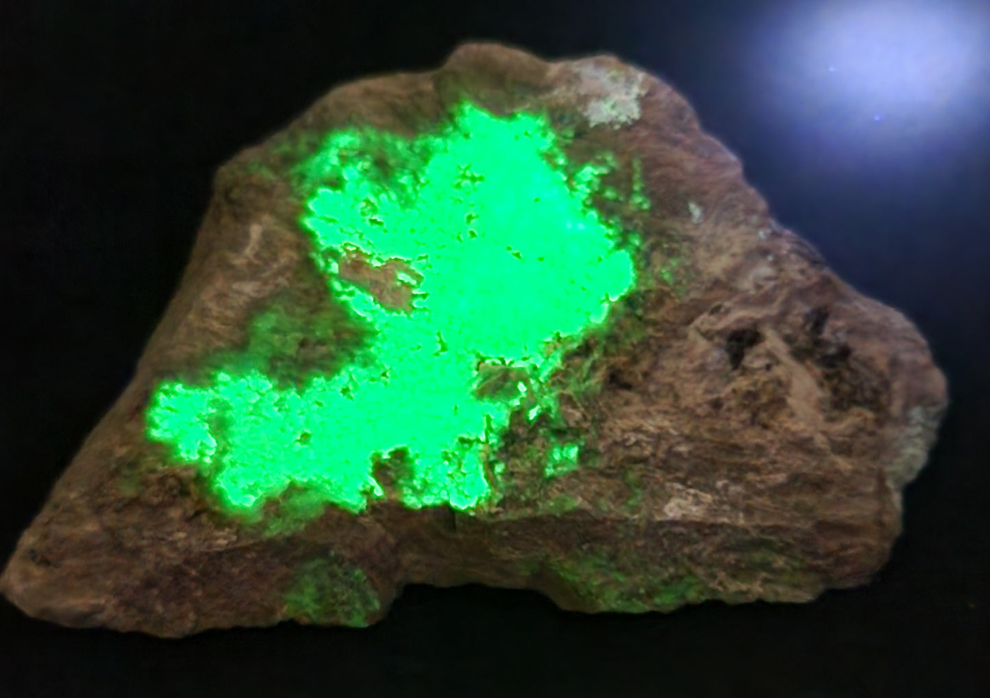 Botryoidal Hyalite Opal Specimen From Utah Highly UV Reactive Item SP401