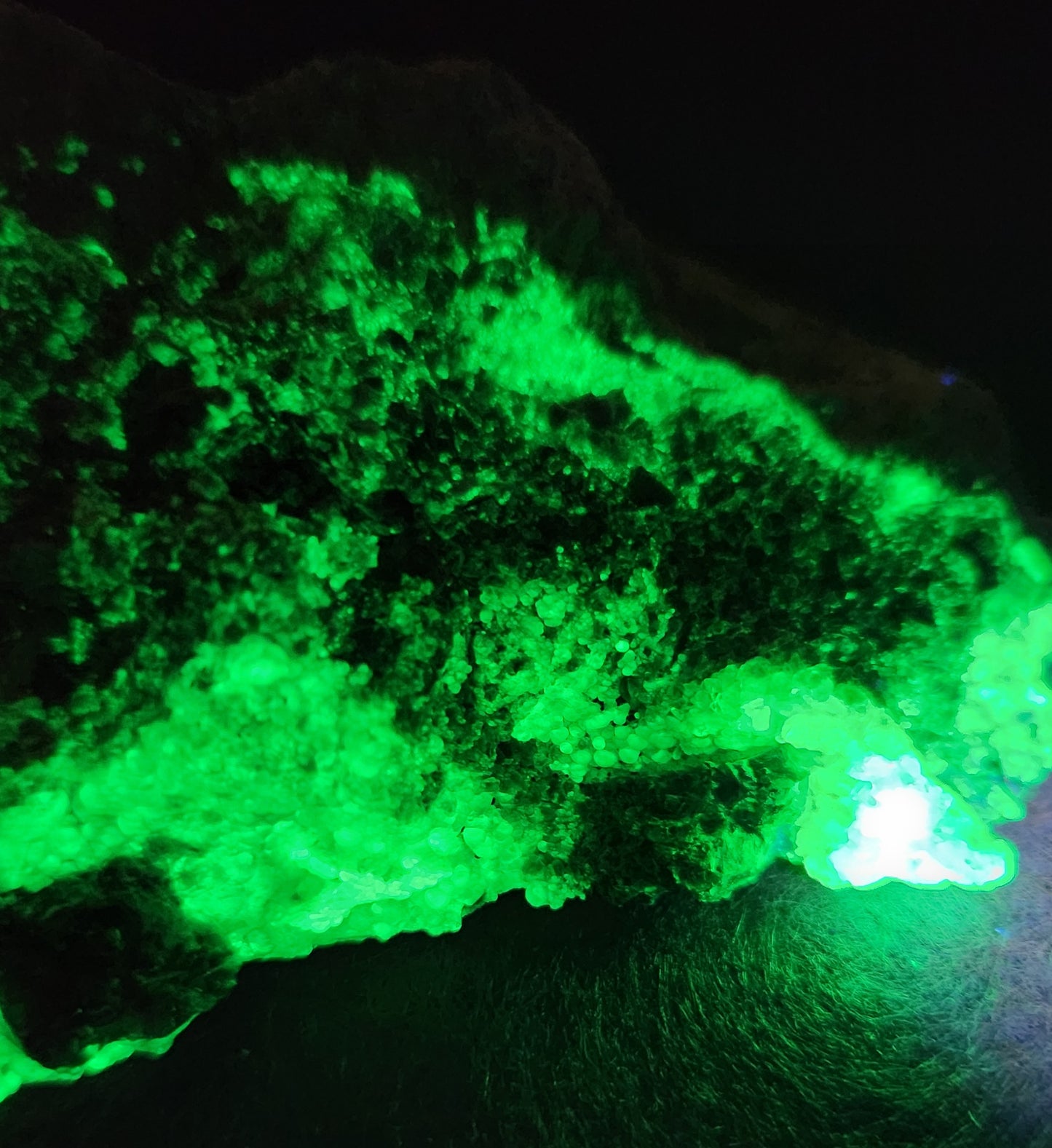 Botryoidal Hyalite Opal Specimen From Utah Highly UV Reactive Item SP400