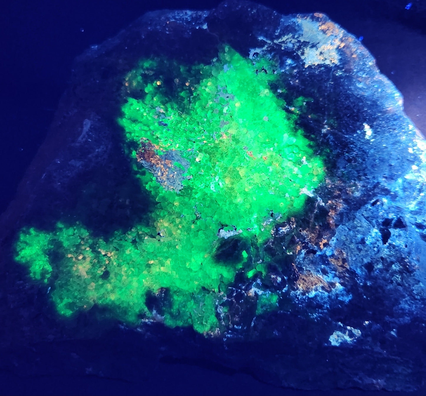 Botryoidal Hyalite Opal Specimen From Utah Highly UV Reactive Item SP401