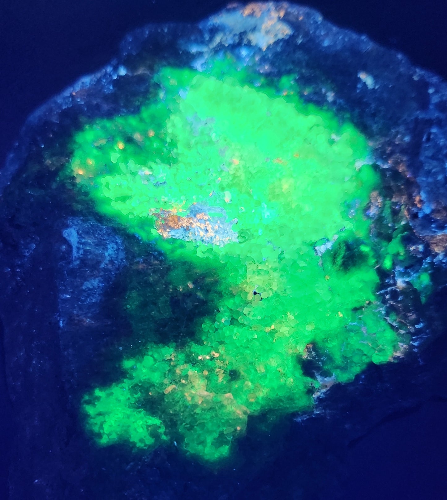 Botryoidal Hyalite Opal Specimen From Utah Highly UV Reactive Item SP401