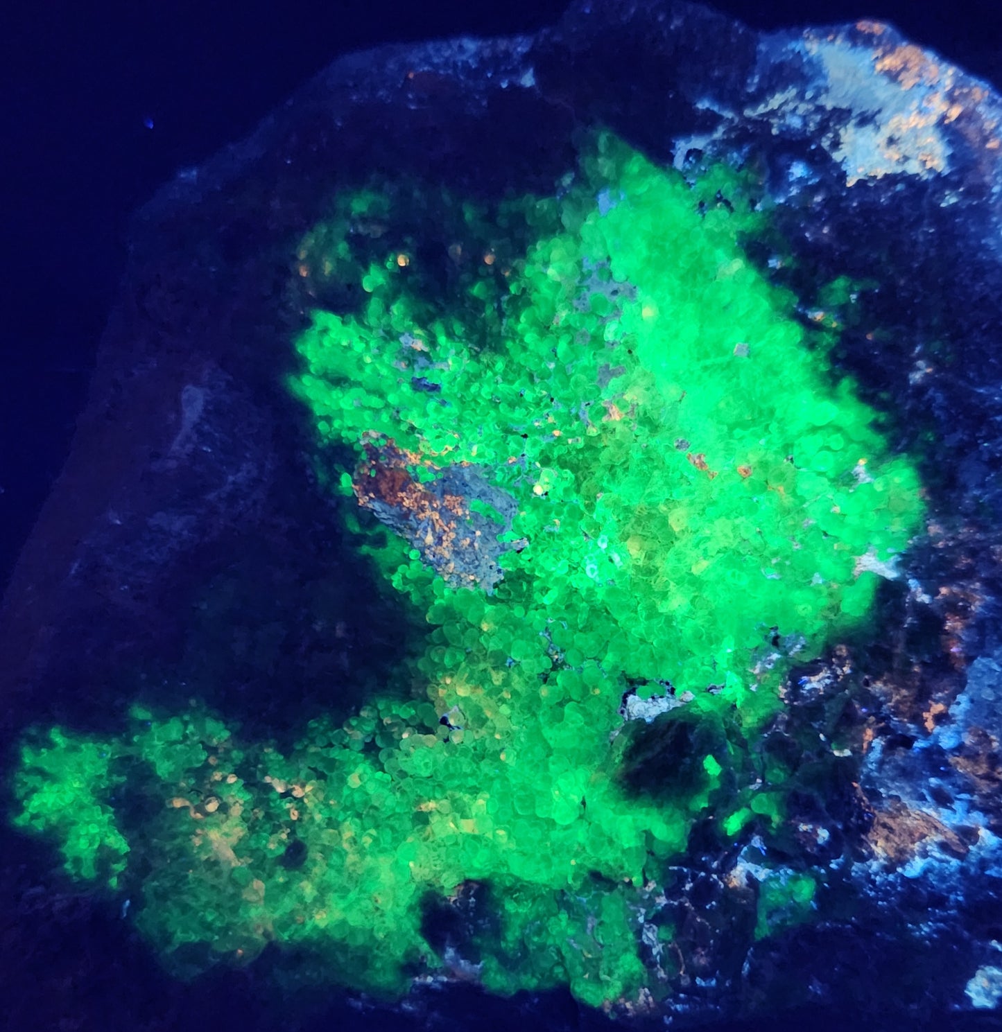 Botryoidal Hyalite Opal Specimen From Utah Highly UV Reactive Item SP401