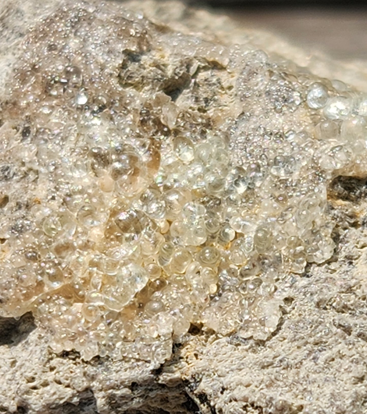 Botryoidal Hyalite Opal Specimen From Utah Highly UV Reactive Item SP404