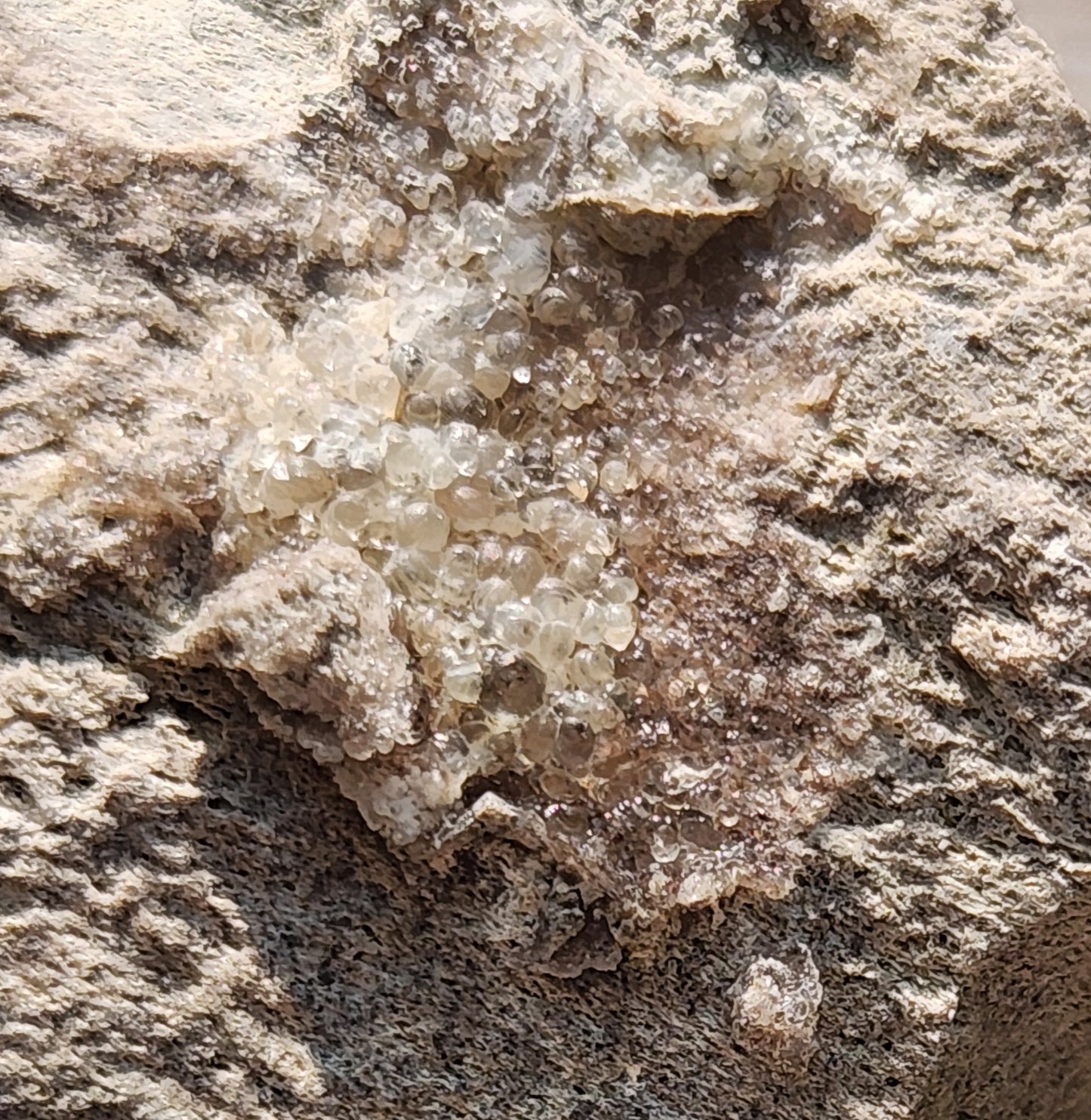 Botryoidal Hyalite Opal Specimen From Utah Highly UV Reactive Item SP406