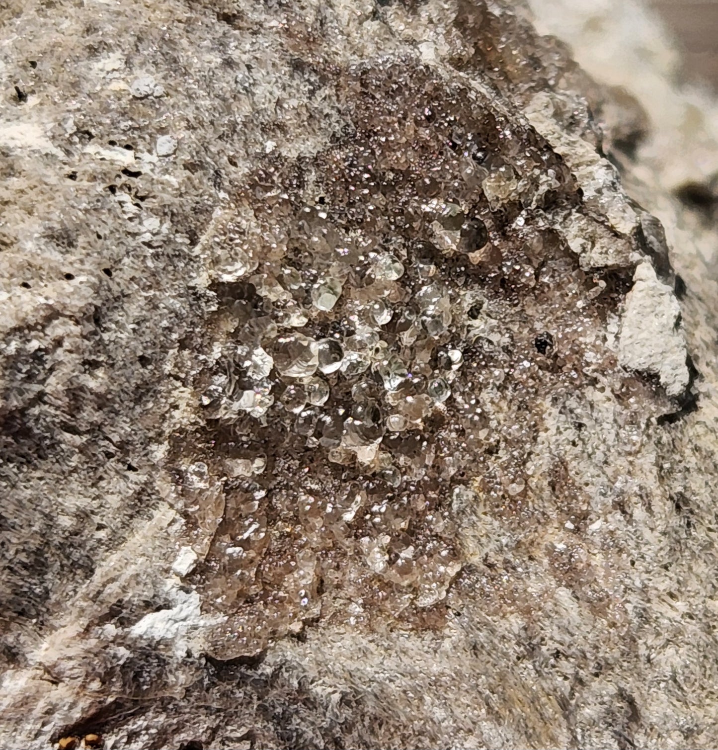 Botryoidal Hyalite Opal Specimen From Utah Highly UV Reactive Item SP406