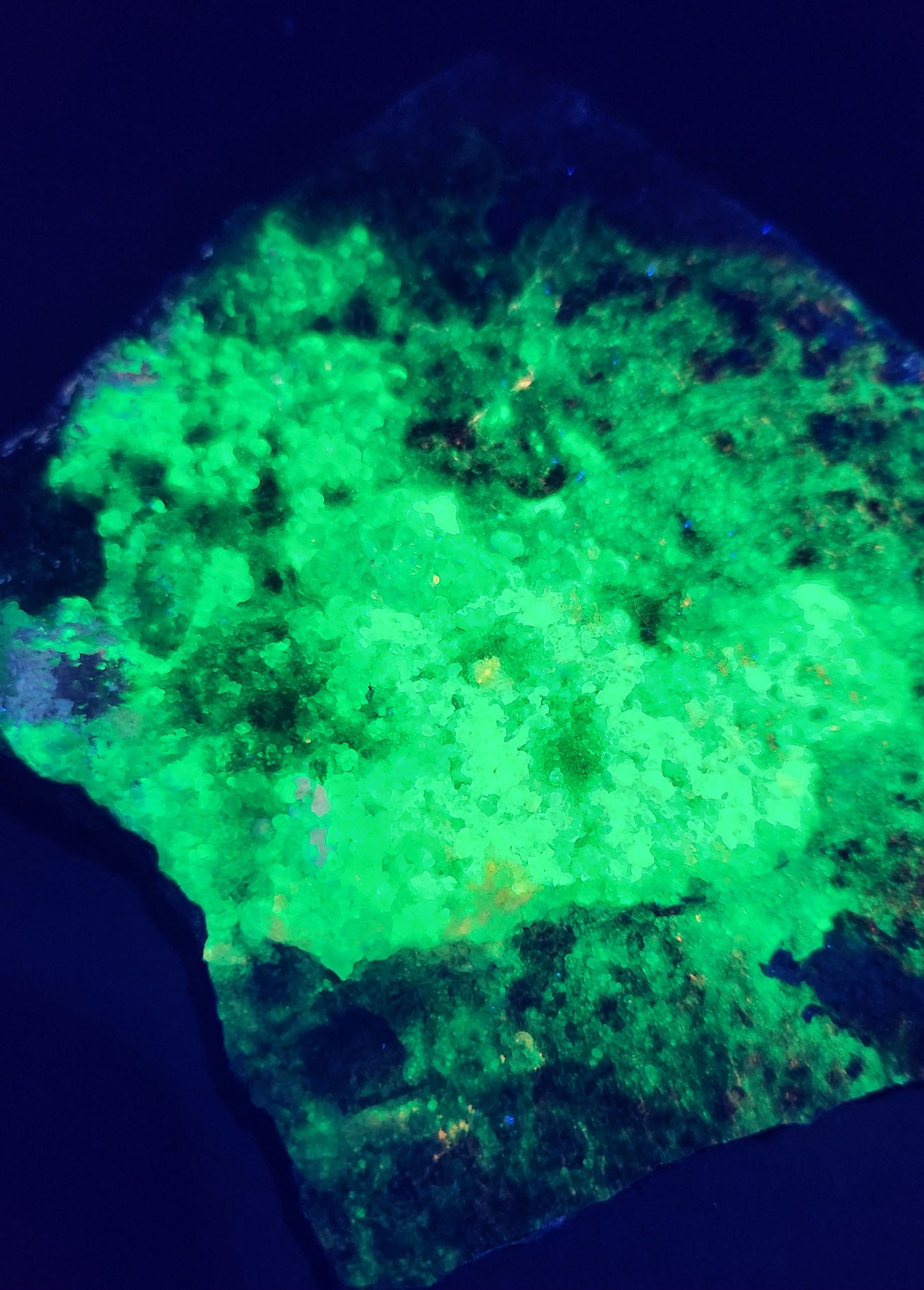 Botryoidal Hyalite Opal Specimen From Utah Highly UV Reactive Item SP403