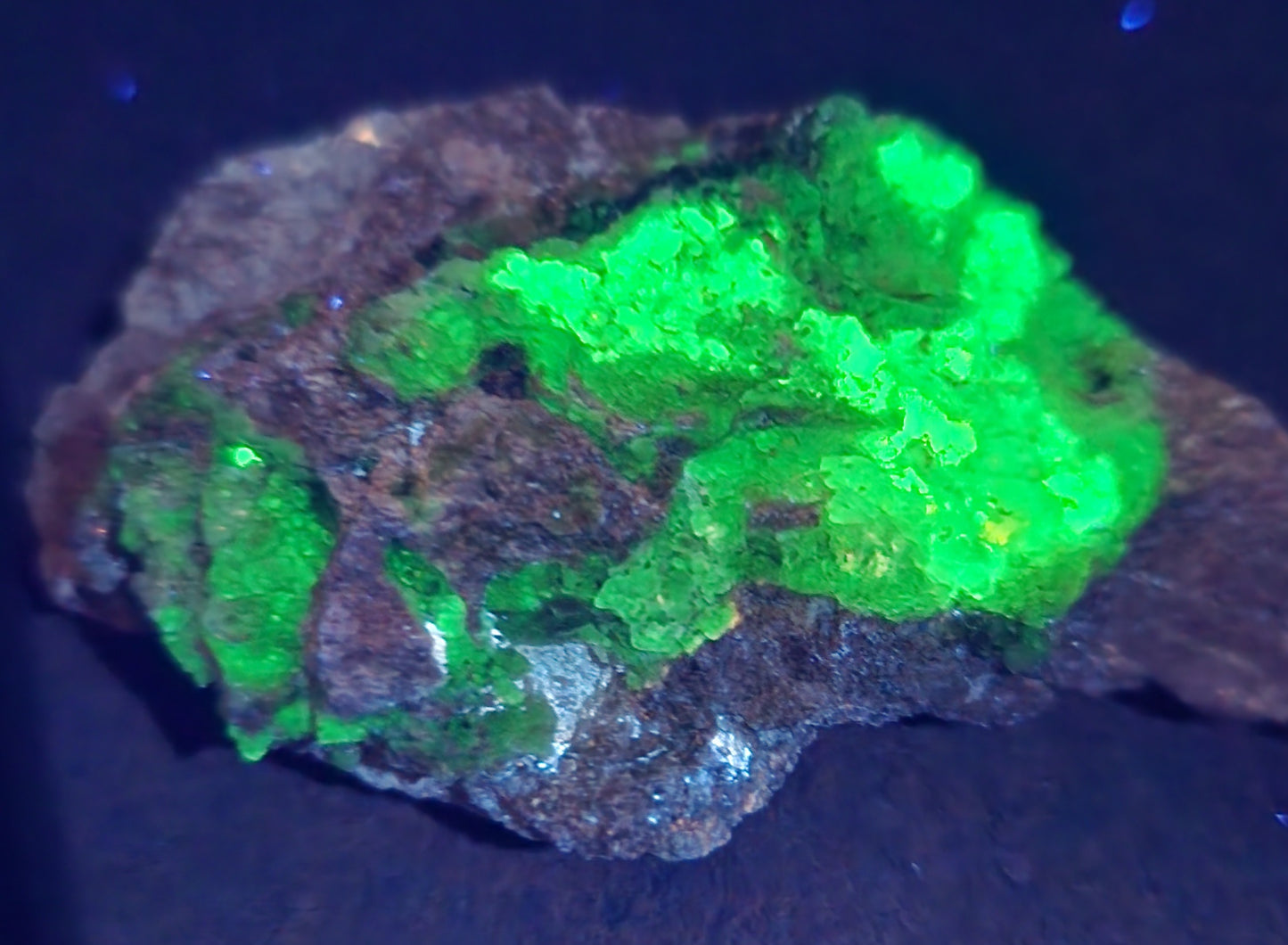 Botryoidal Hyalite Opal Specimen From Utah Highly UV Reactive Item SP405