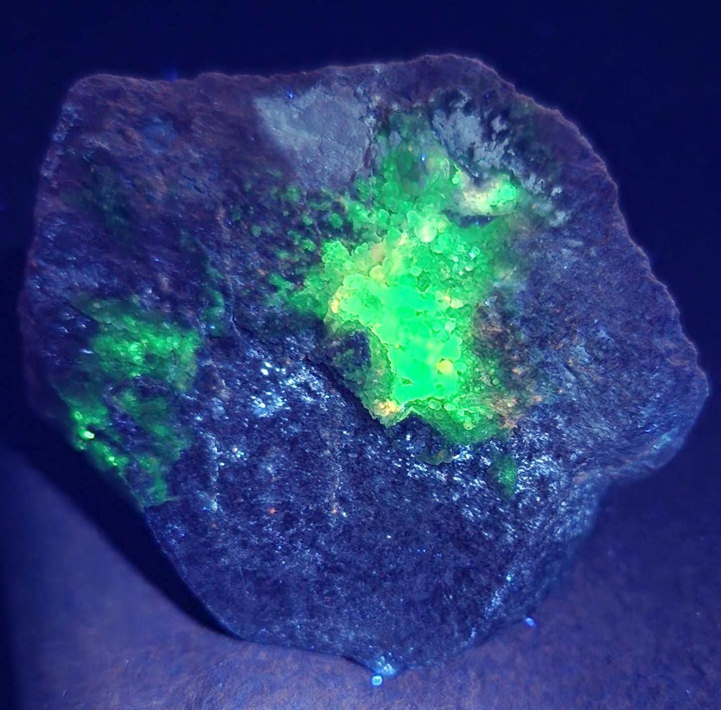 Botryoidal Hyalite Opal Specimen From Utah Highly UV Reactive Item SP406