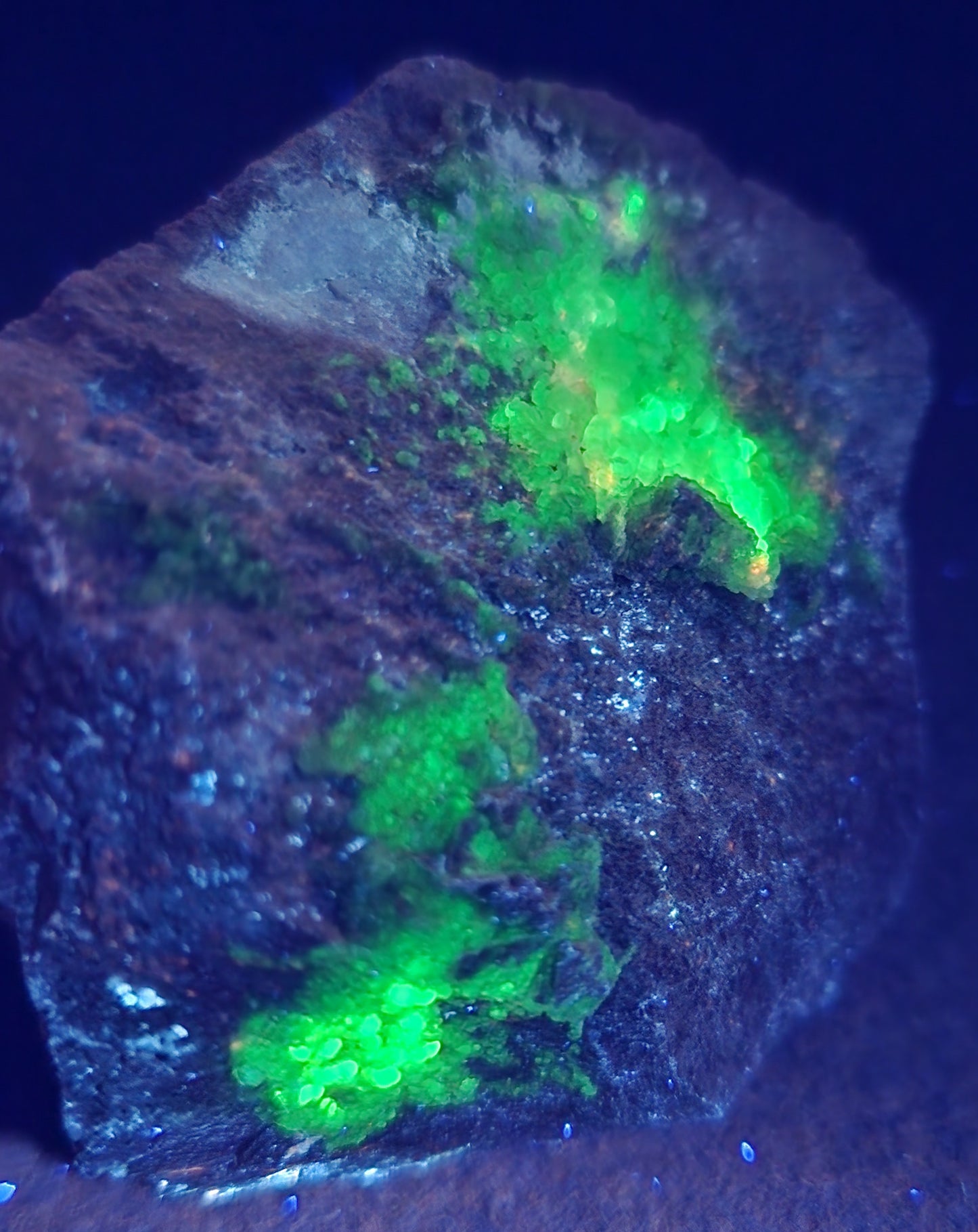 Botryoidal Hyalite Opal Specimen From Utah Highly UV Reactive Item SP406