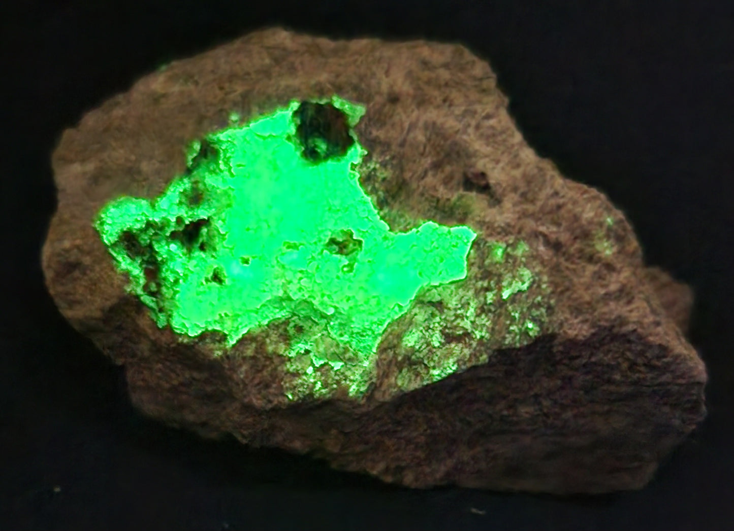 Botryoidal Hyalite Opal Specimen From Utah Highly UV Reactive Item SP408
