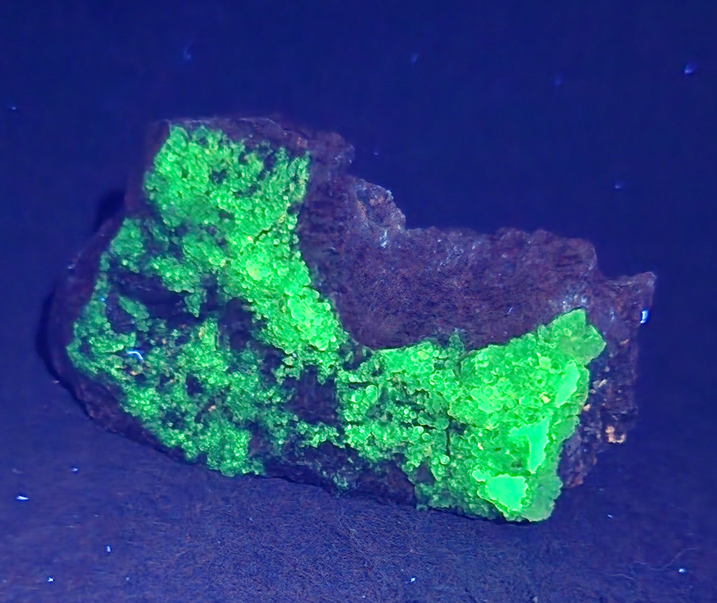 Botryoidal Hyalite Opal Specimen From Utah Highly UV Reactive Item SP410