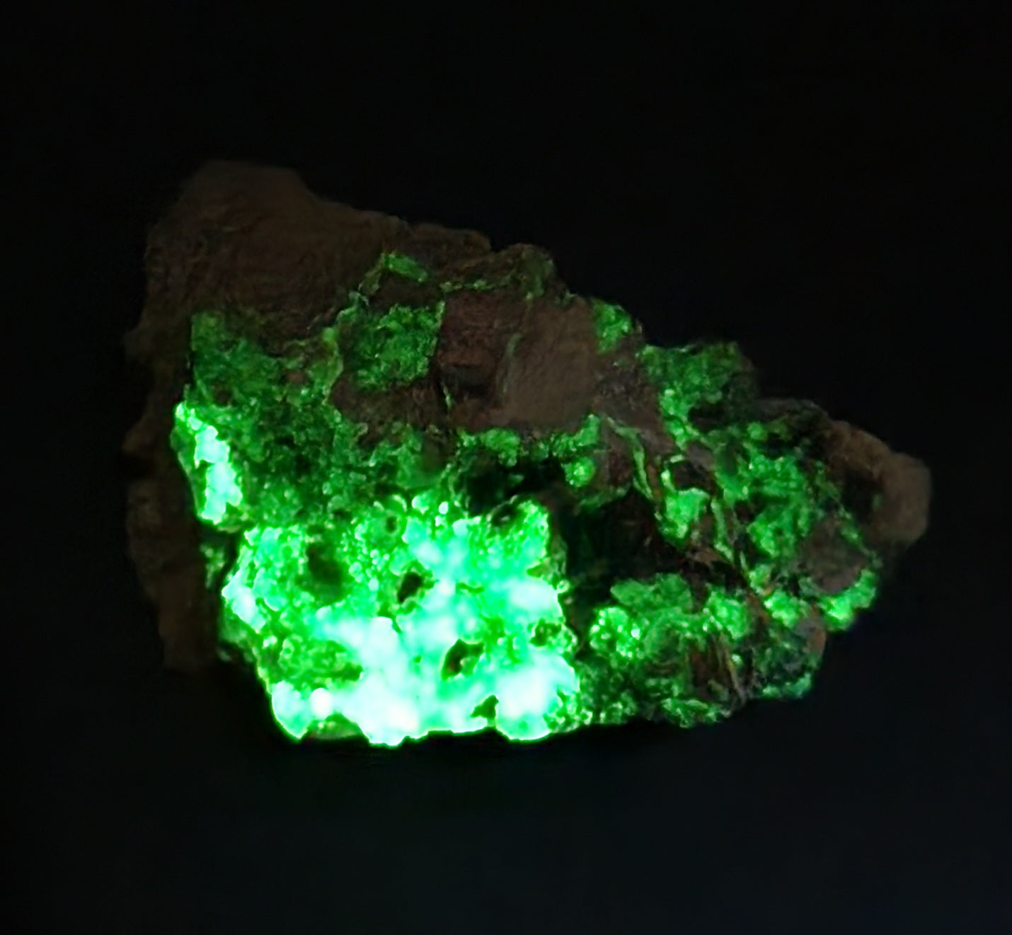 Botryoidal Hyalite Opal Specimen From Utah Highly UV Reactive Item SP411