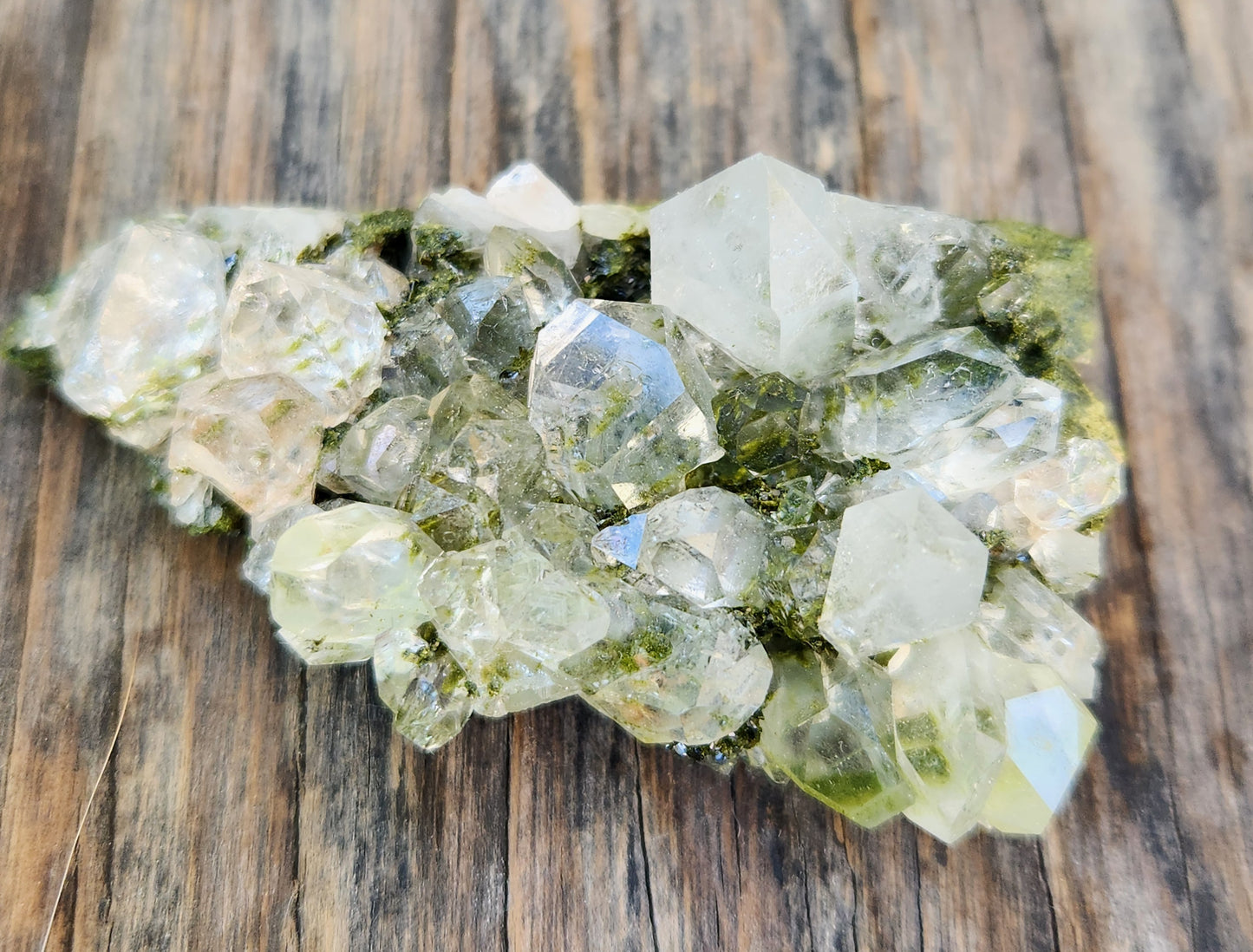 High Grade Forest Epidote with Quartz (Fairy Forest Epidote) Hakkari, Turkey ItemSP458