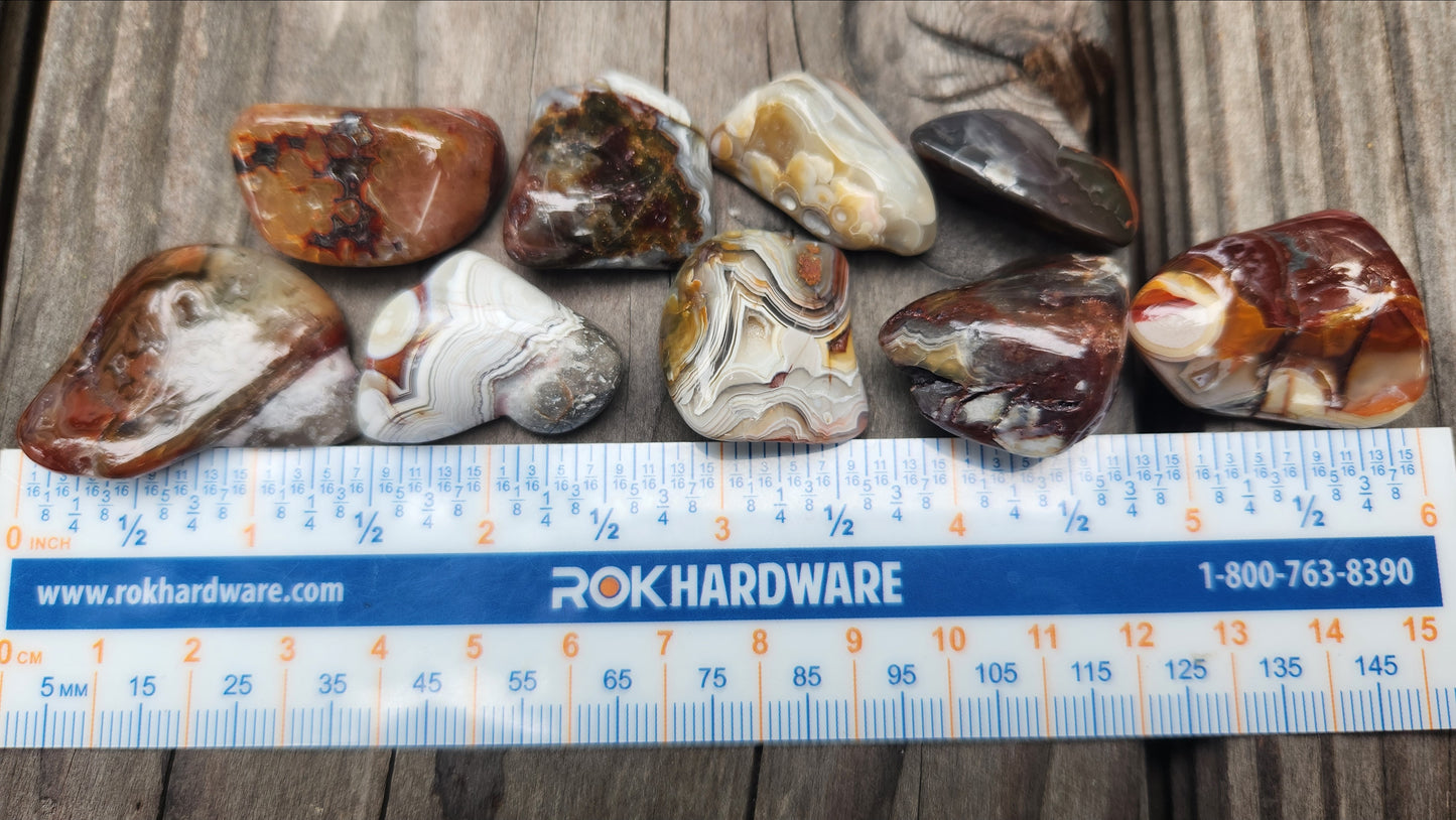 Polished Mexican Crazy Lace Agate showing classic fortification patterns with ruler, TA386