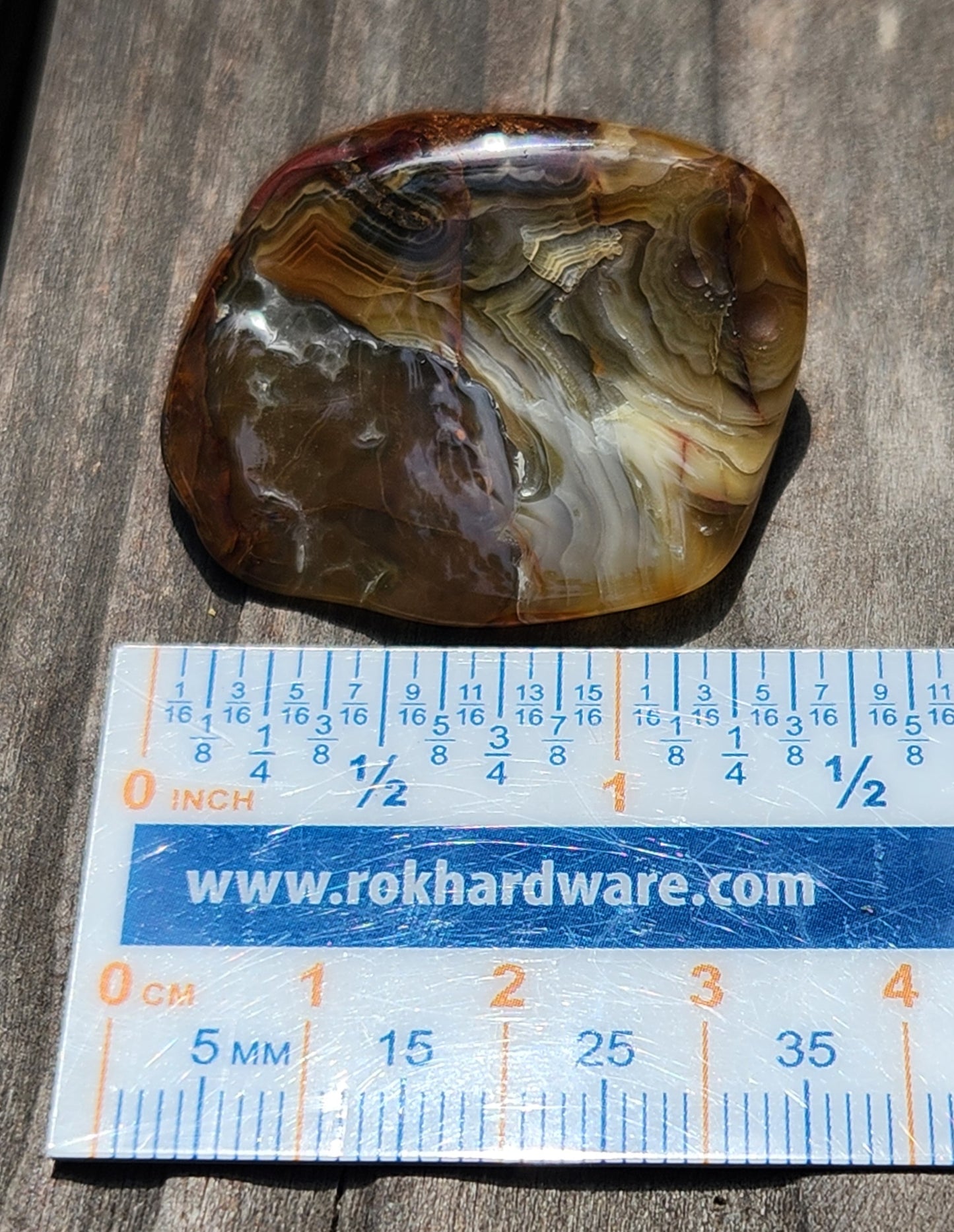 Mexican Crazy Lace Agate displayed with ruler for size reference, TA371