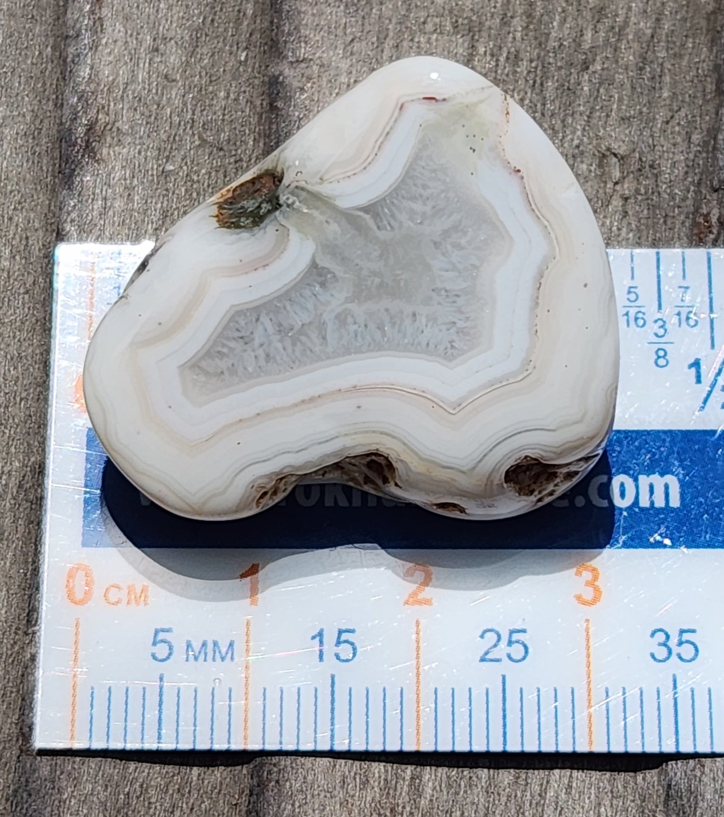 Mexican agate displayed with ruler TA270