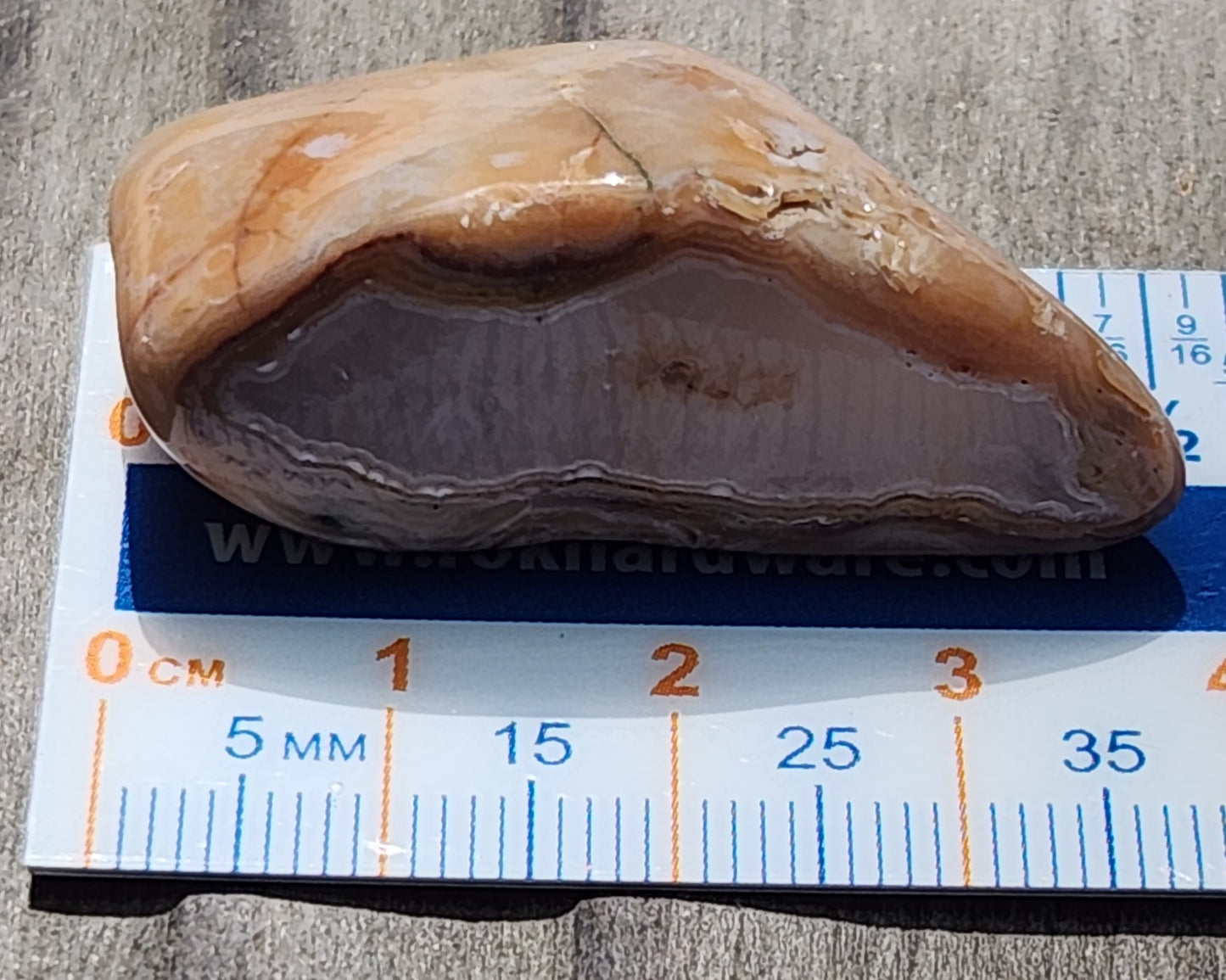 Mexican banded agate shown with ruler for scale TA272
