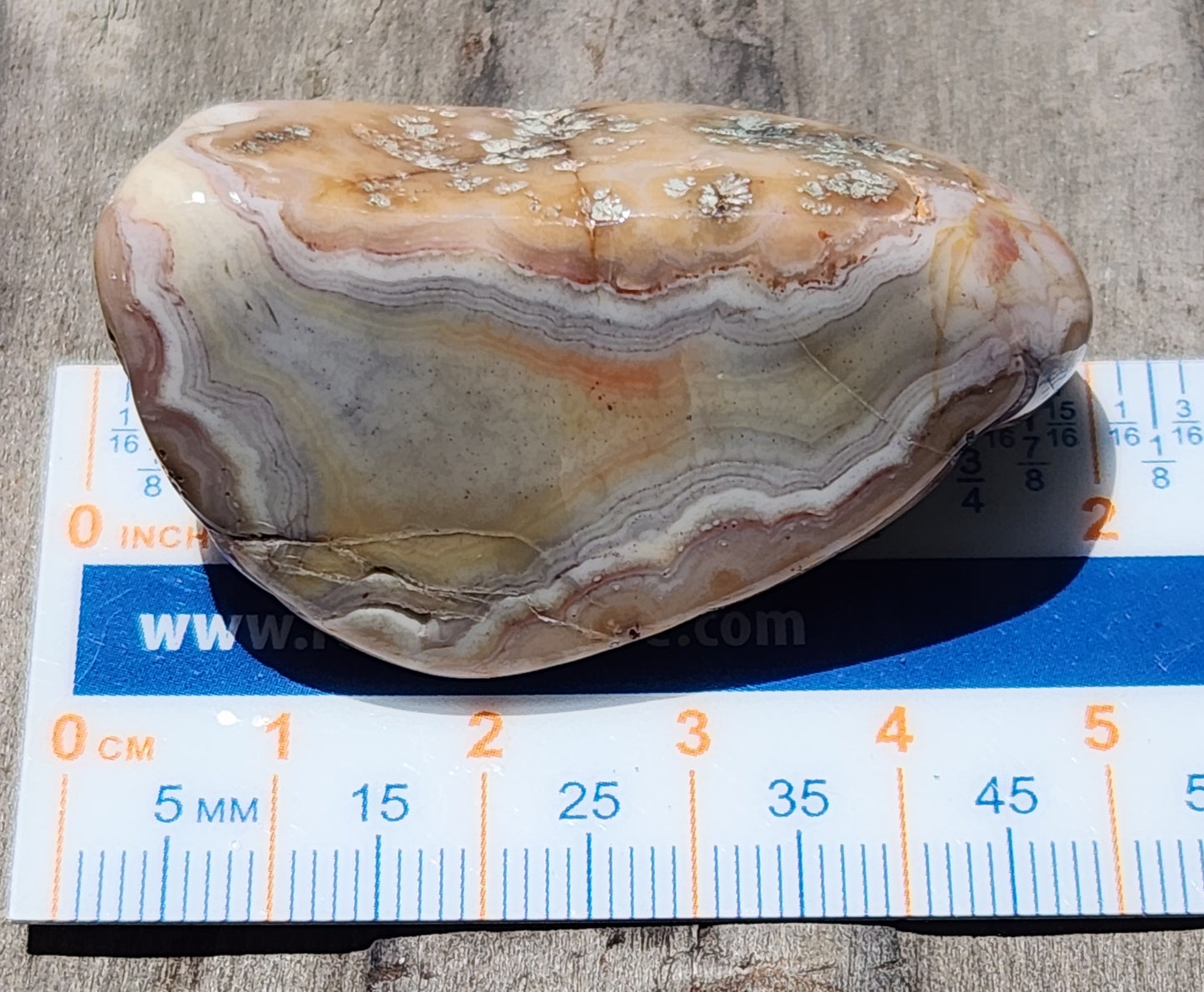 Mexican agate displayed with ruler TA265