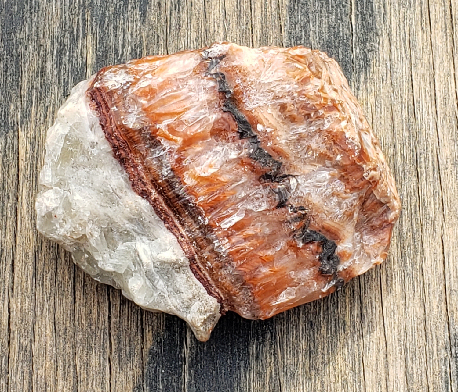 Rough Rock