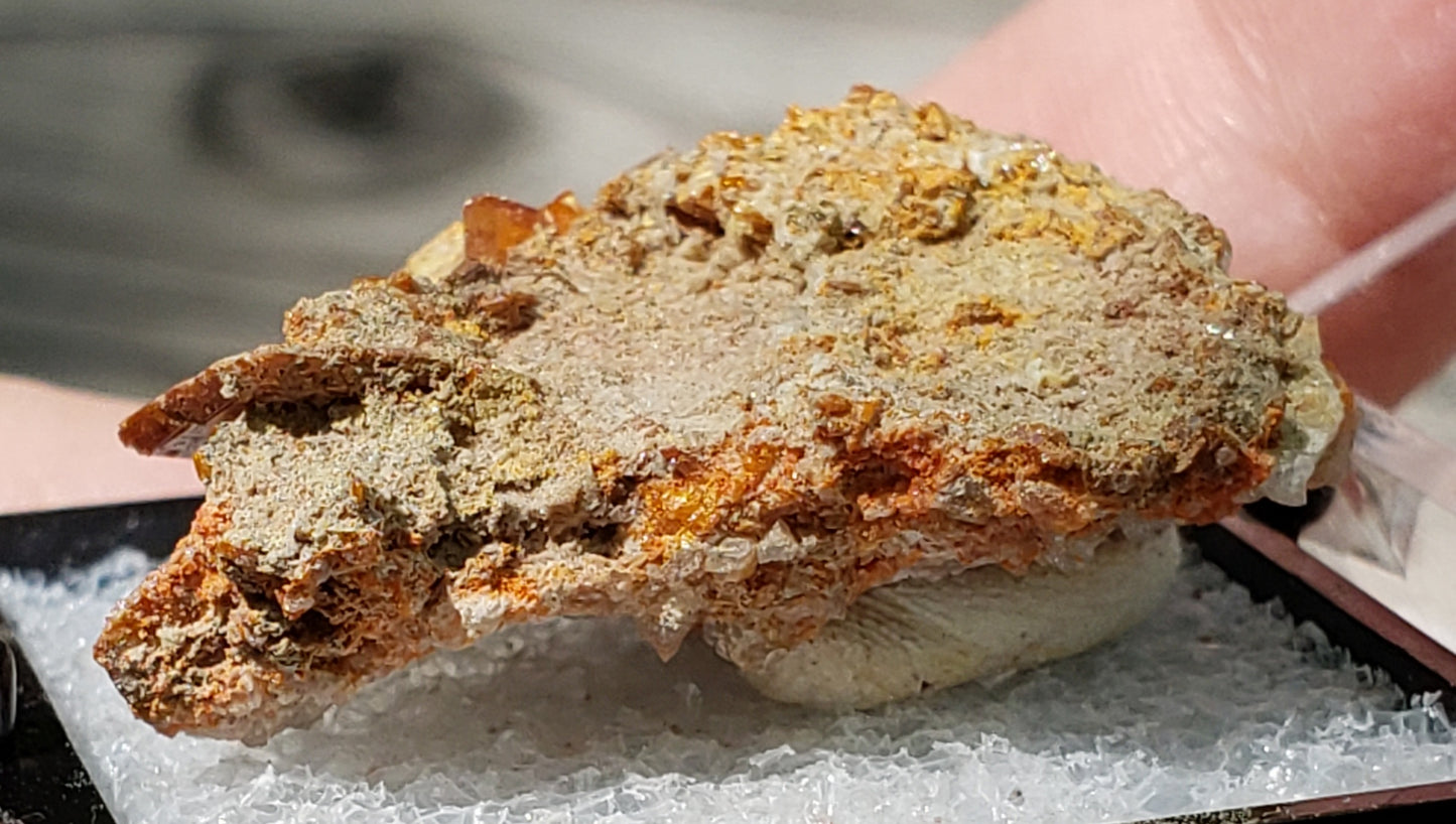 Wulfenite Red Cloud Mine Arizona SP225