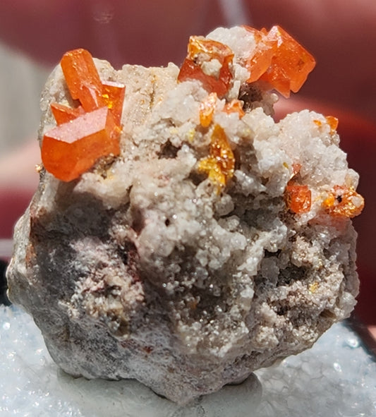 Wulfenite, Red Cloud Mine Arizona, UV Reactive, ItemSP254