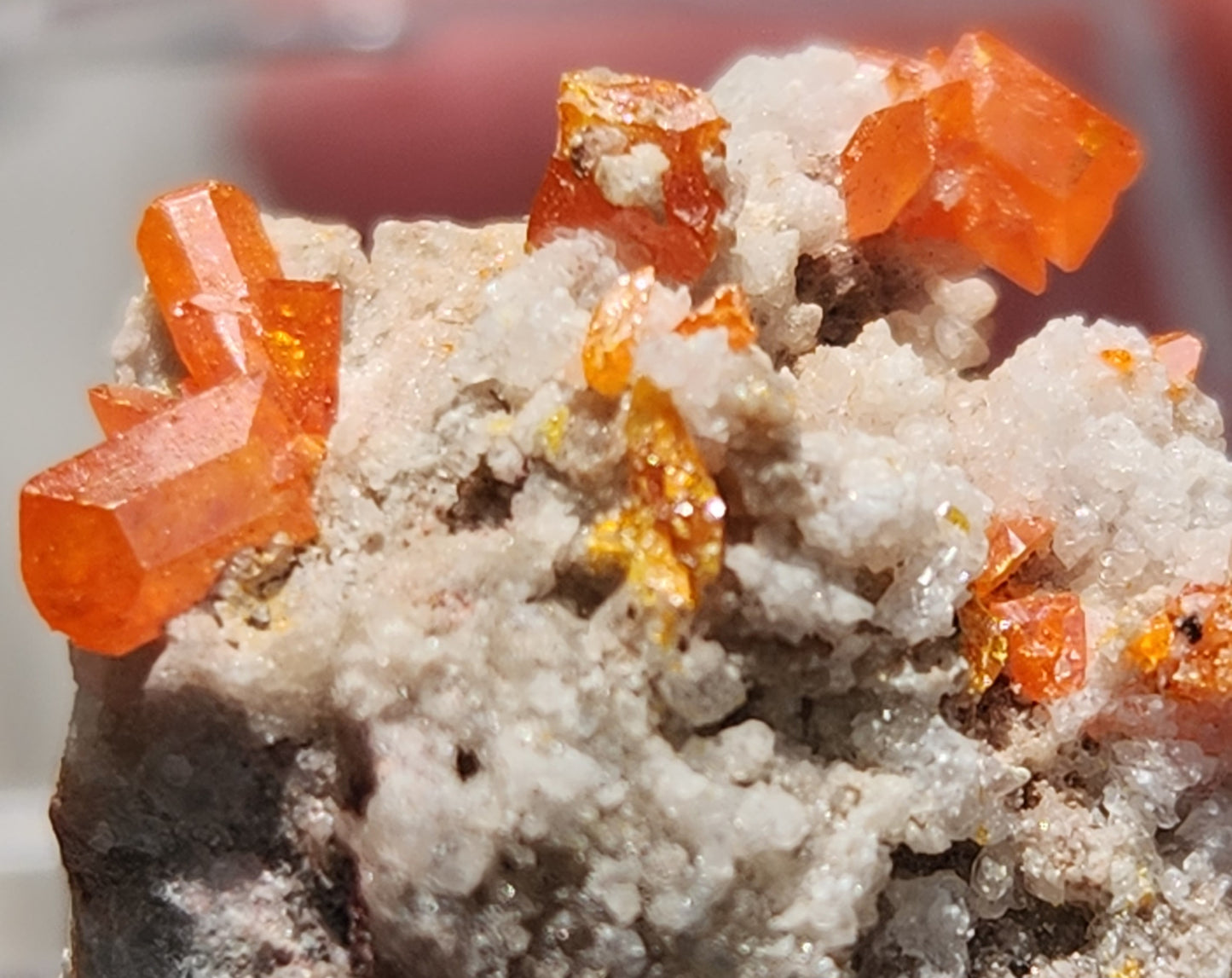 Wulfenite, Red Cloud Mine Arizona, UV Reactive, ItemSP254