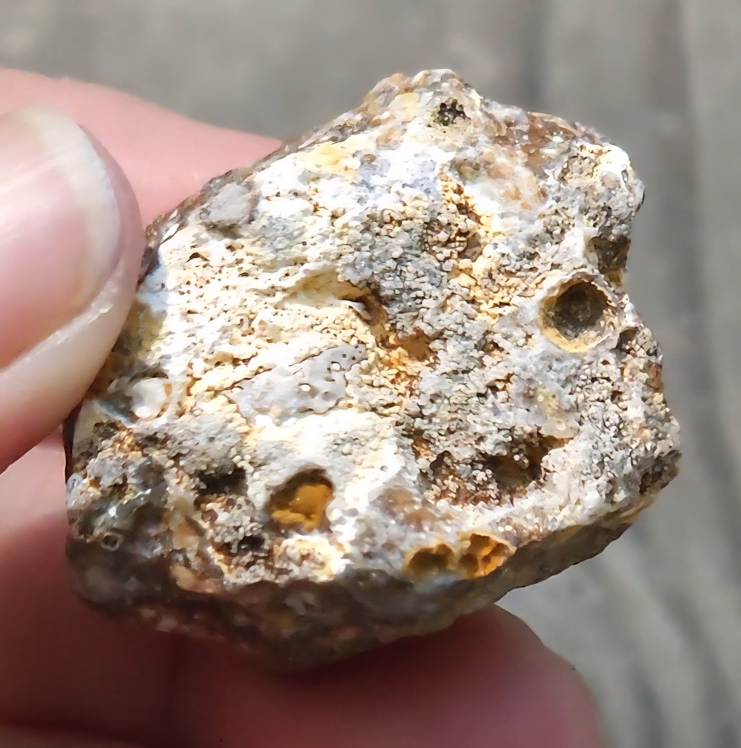 Ocean Jasper Druzy Rough Rock Item DR305