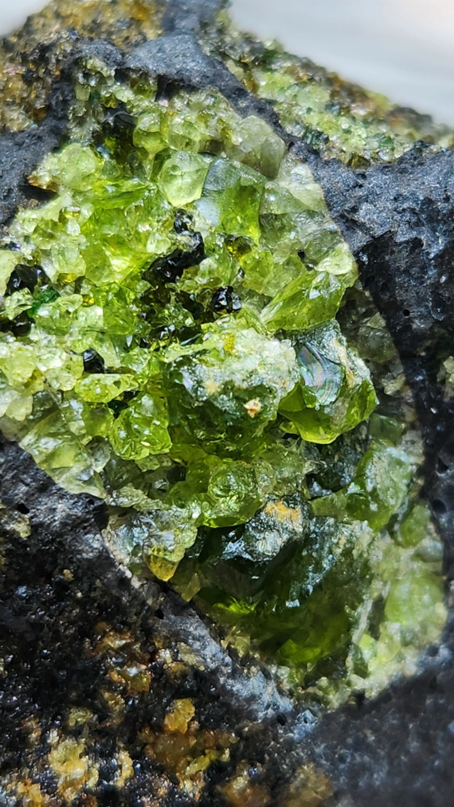 Peridot Olivine on Basalt Specimen Over 1 1/2 lbs ItemSP311