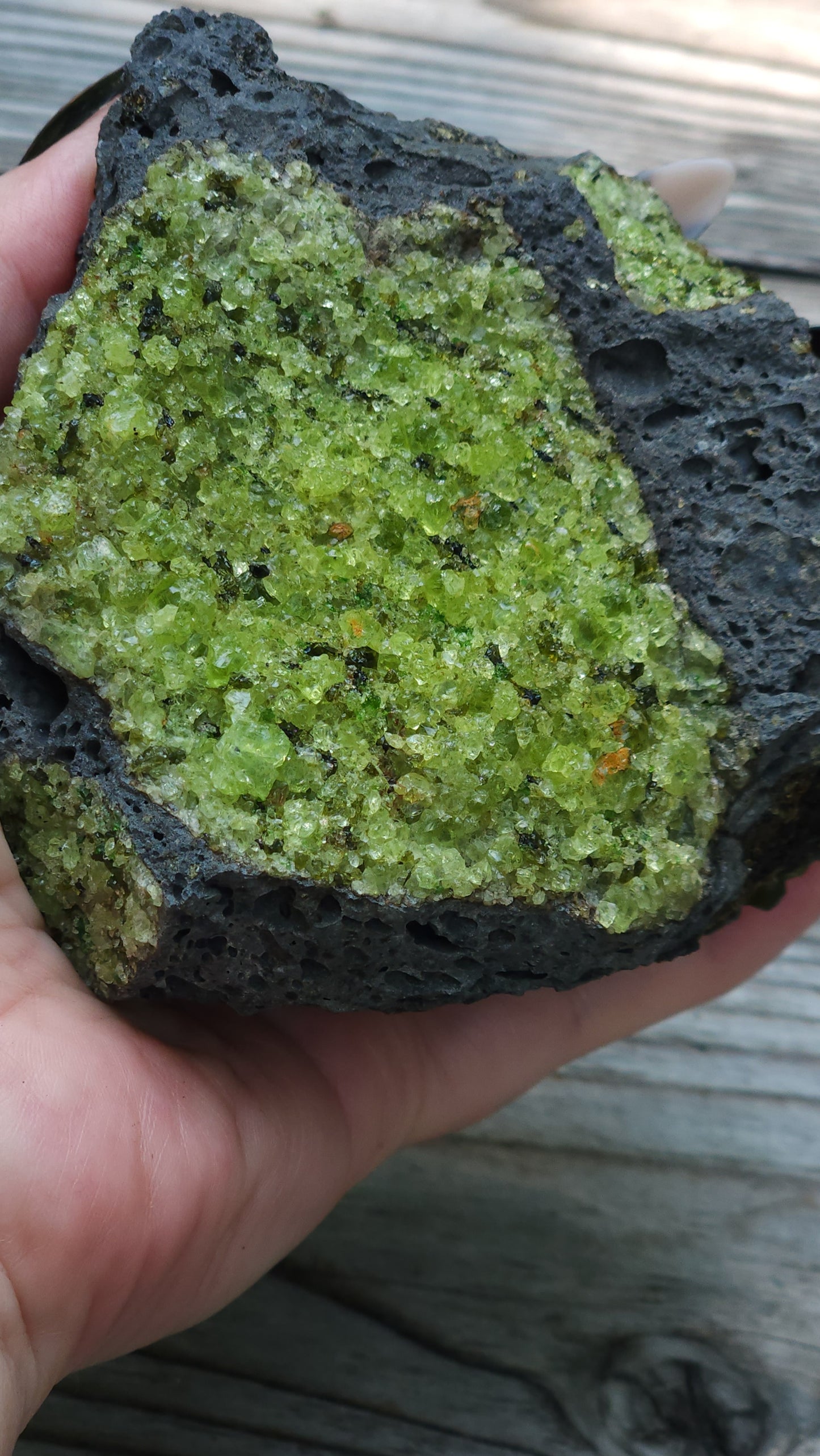 Peridot Olivine on Basalt Specimen Over 1 1/2 lbs ItemSP311