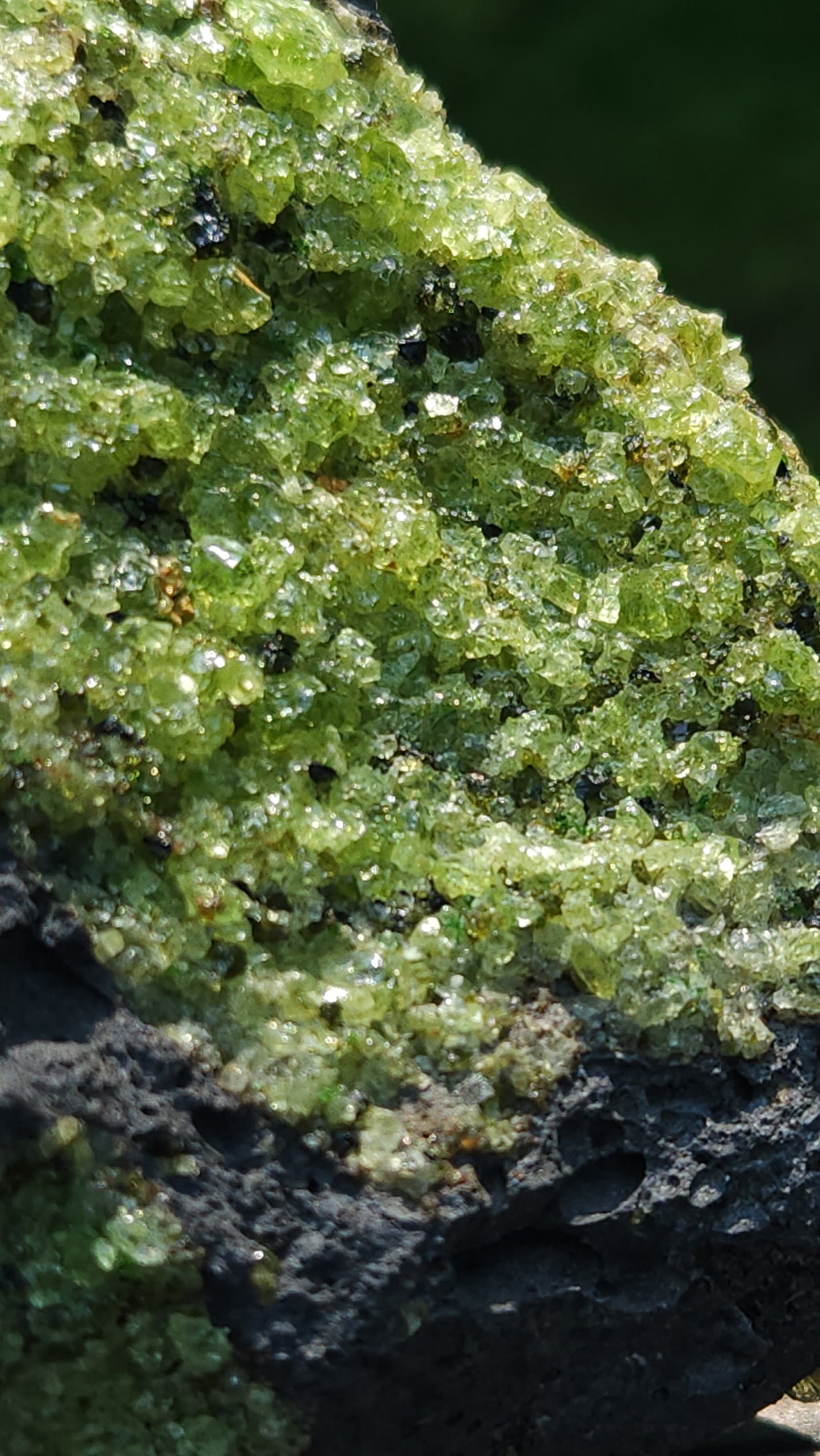 Peridot Olivine on Basalt Specimen Over 1 1/2 lbs ItemSP311