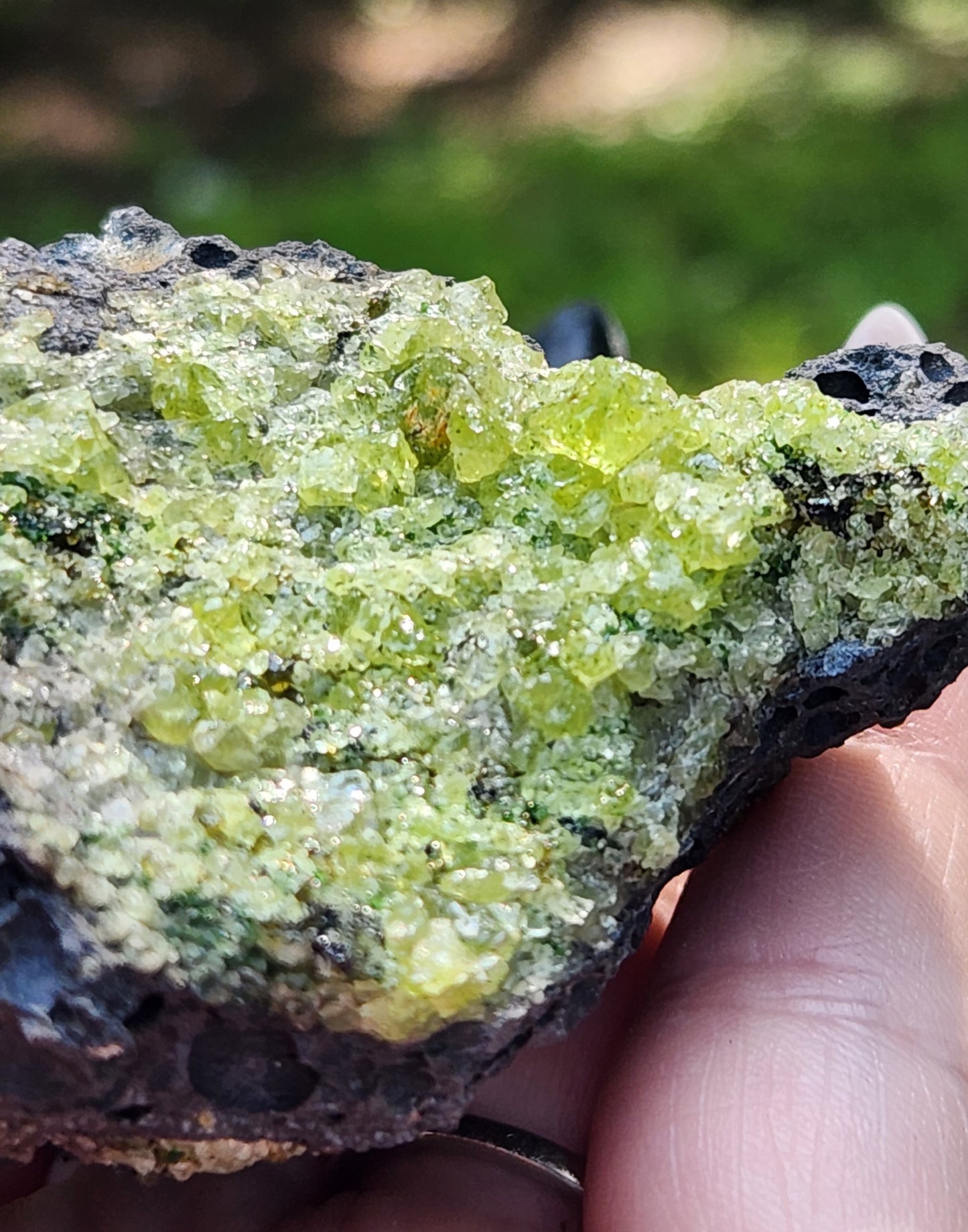 Peridot Olivine on Basalt Specimen ItemSP314