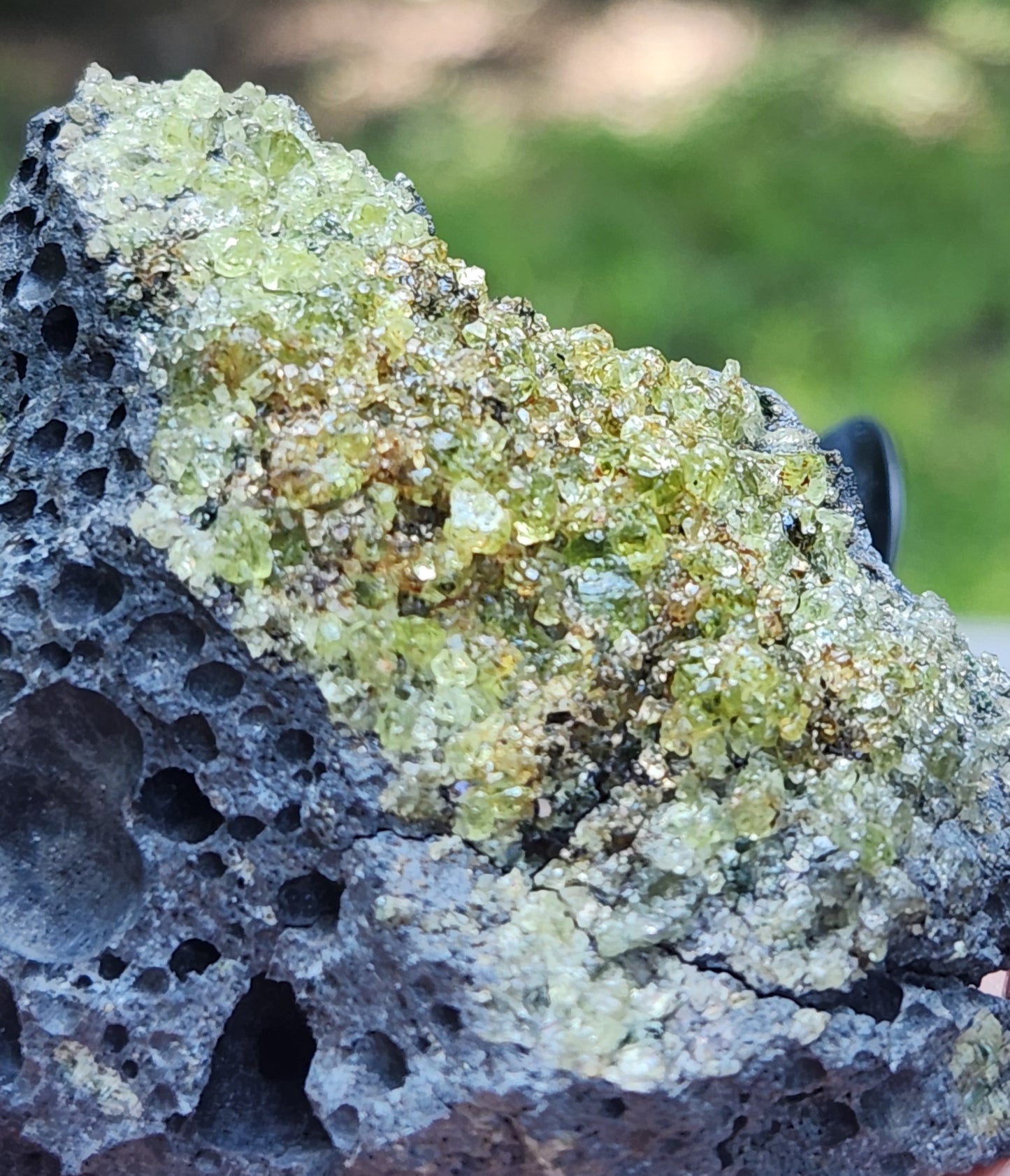 Peridot Olivine on Basalt Specimen ItemSP314