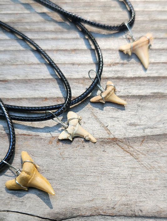 Sharks Tooth Necklace Item JL354