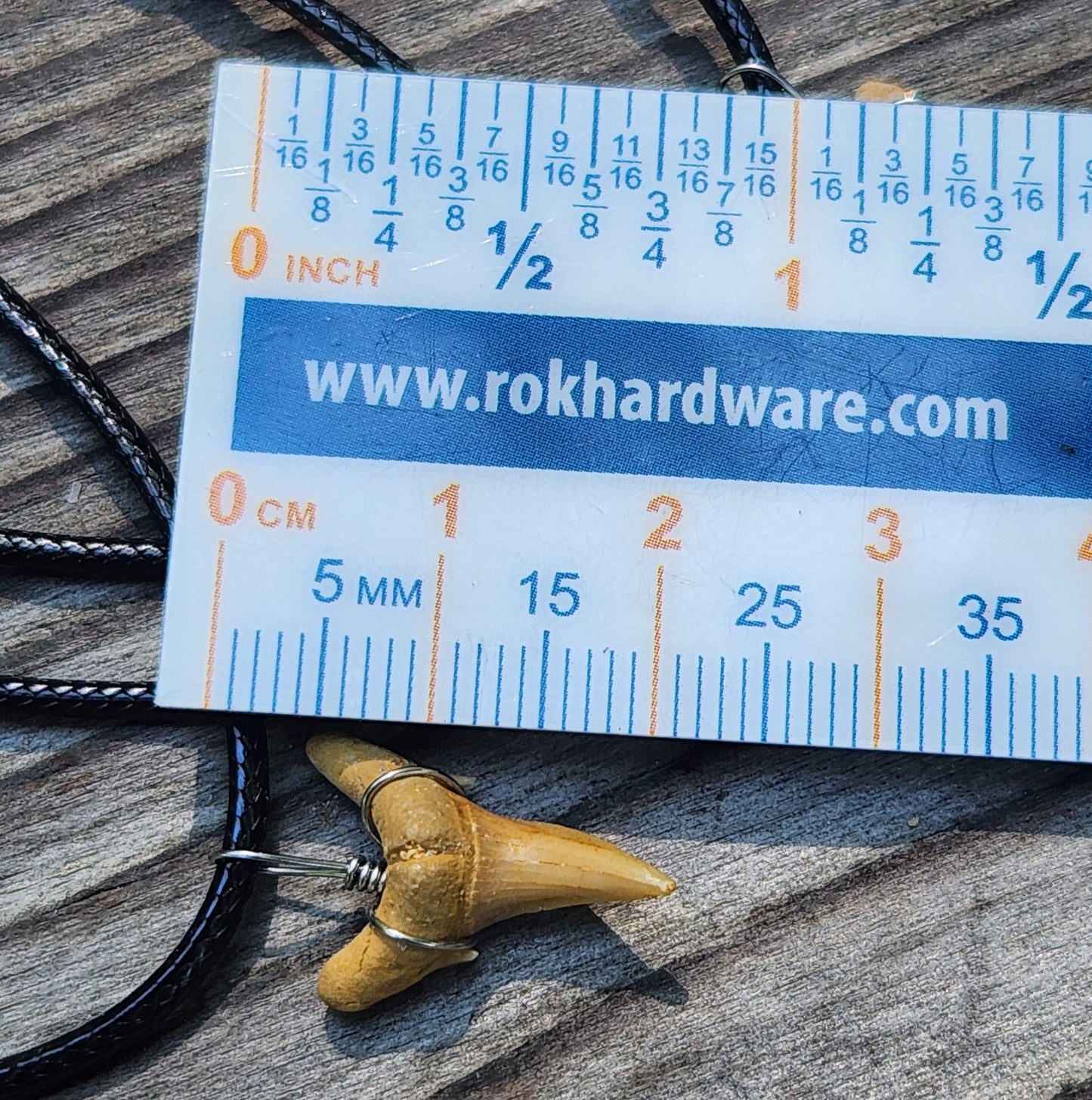 Sharks Tooth Necklace Item JL354