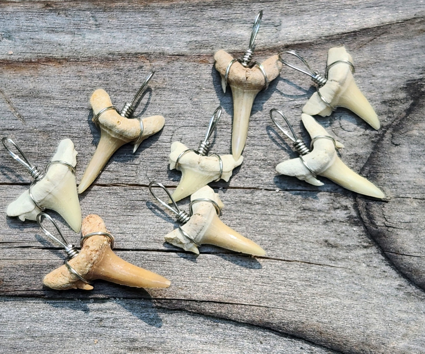 Sharks Tooth Necklace Item JL354